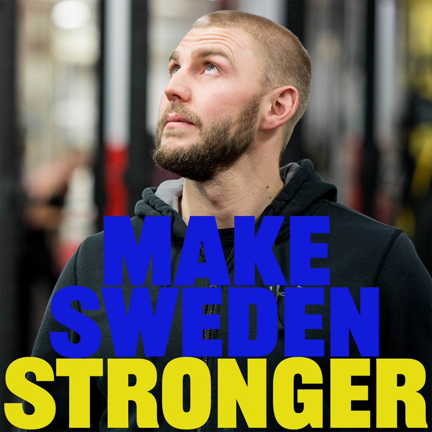 Make Sweden Stronger