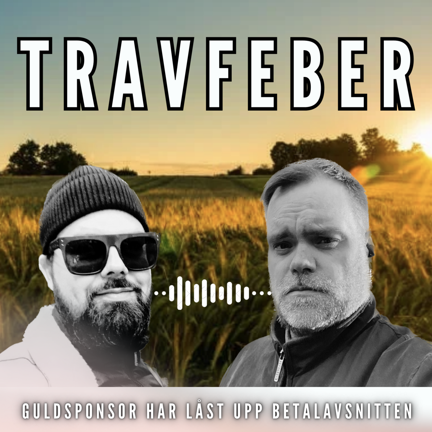 Travfeber är Sveriges bästa travpodd