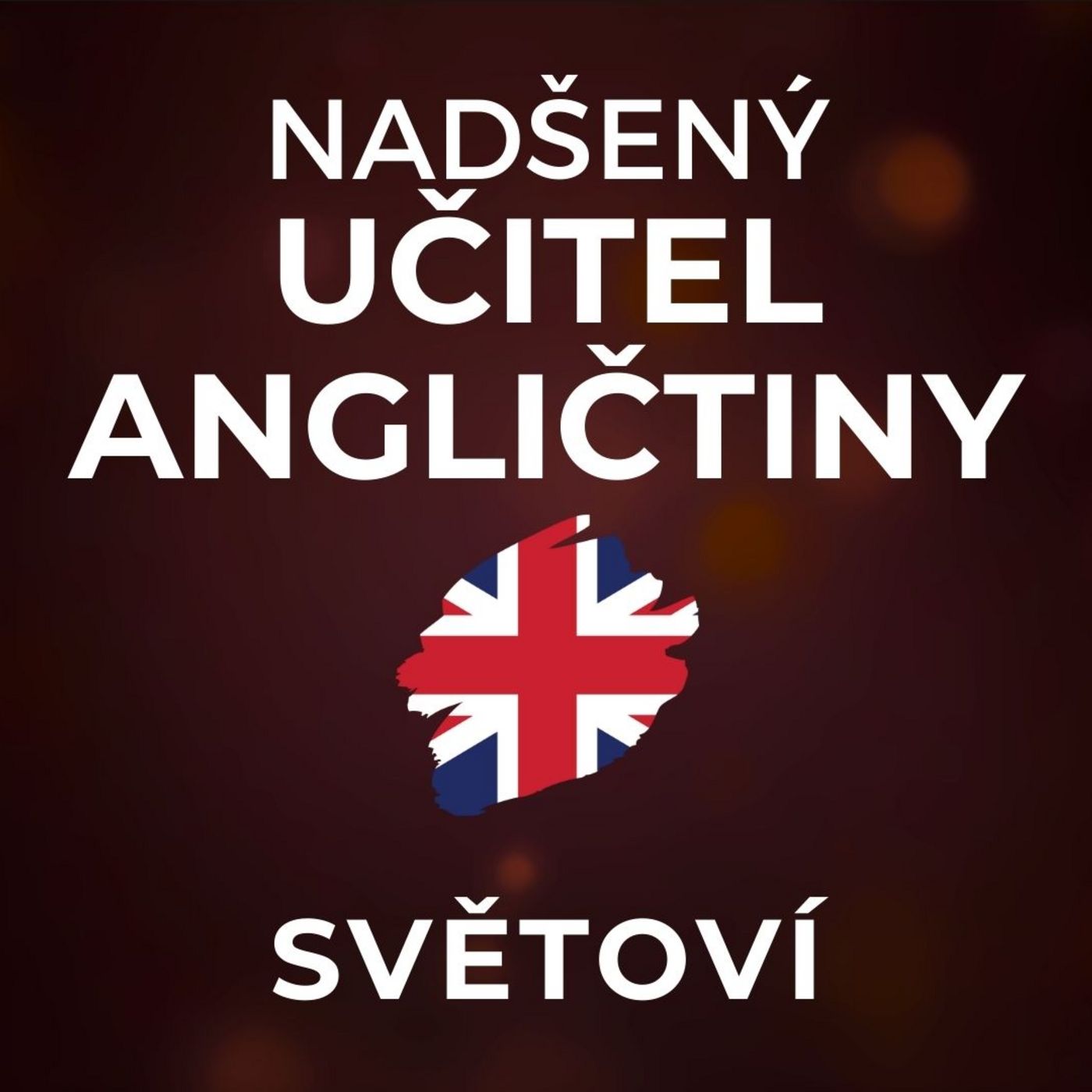 Bronislav Sobotka: Chápu, co lidi nechápou. Češi si pouze myslí, že neumí mluvit anglicky. | SVĚTOVÍ