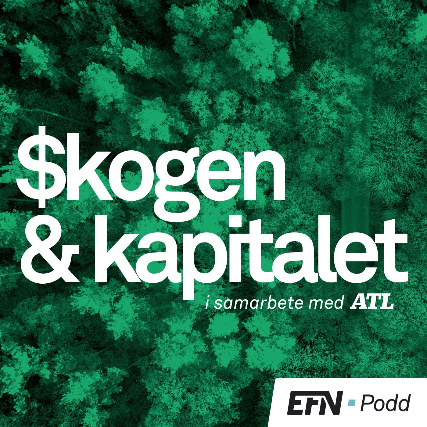 Skogen & Kapitalet:  Skogens skräp kan bli guld episode artwork
