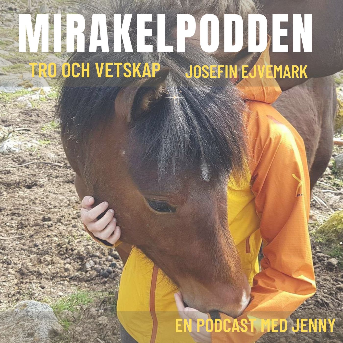 5. Josefin Ejvemark - Balansen mellan det feminina och maskulina, Gudinnan inom dig episode artwork