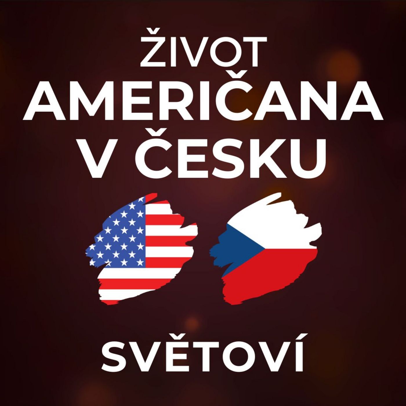 Američan o Česku: Češi běžně dělají práci, na kterou se nehodí. Být falešný je v USA profesionální. | SVĚTOVÍ