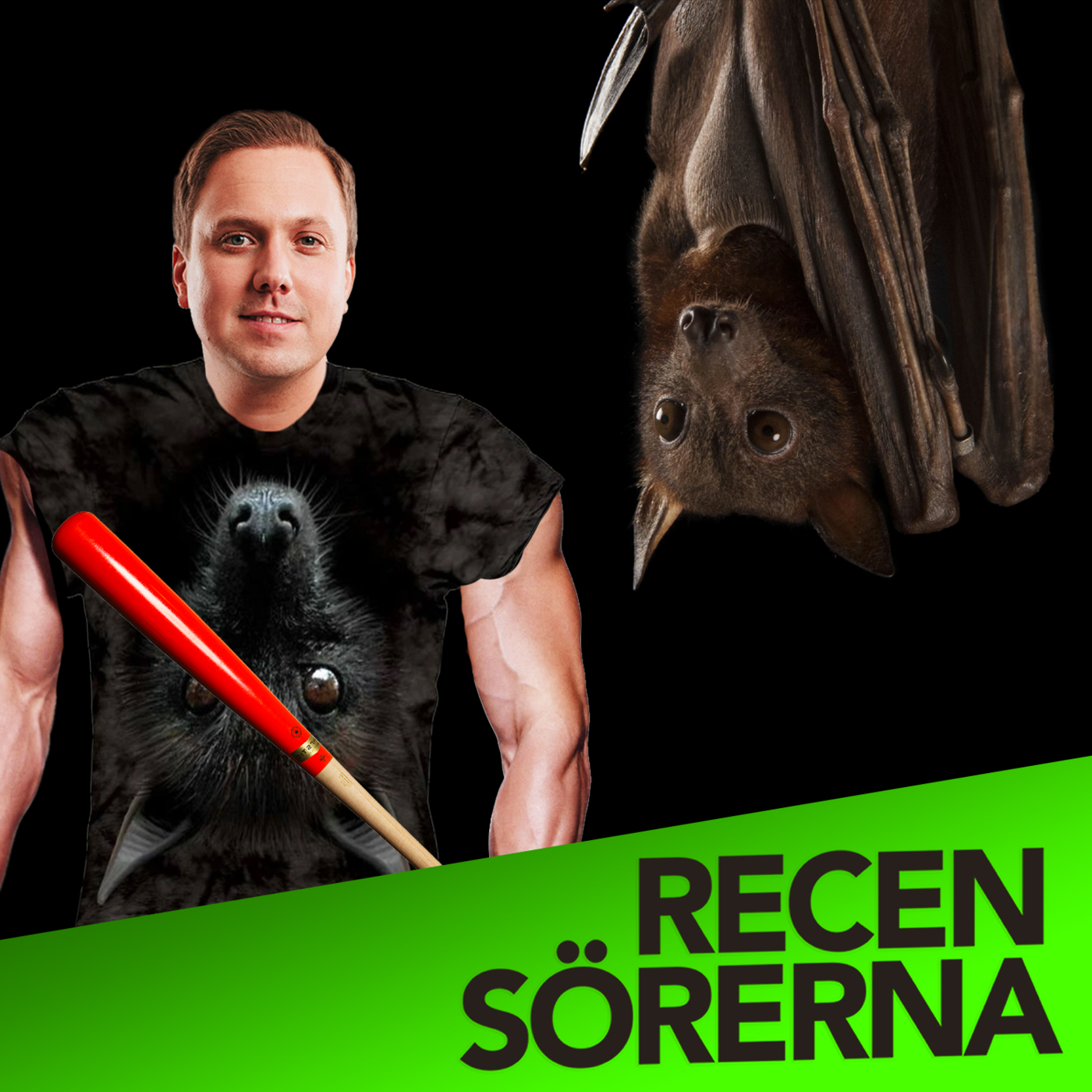 Recensörerna