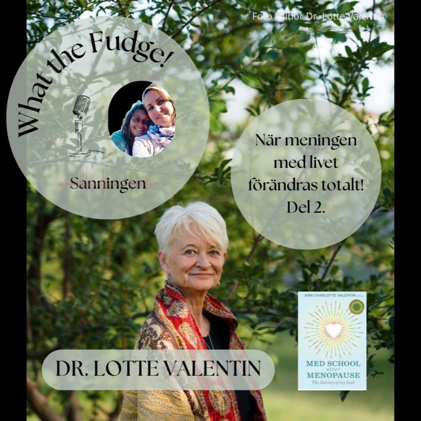 W25. Dr. Lotte Valentin – Dr Lotte går in djupare på läkningen av mother wound/generationstrauma och kopplingen till det glittrande nätet runt jorden. Del 2. episode artwork