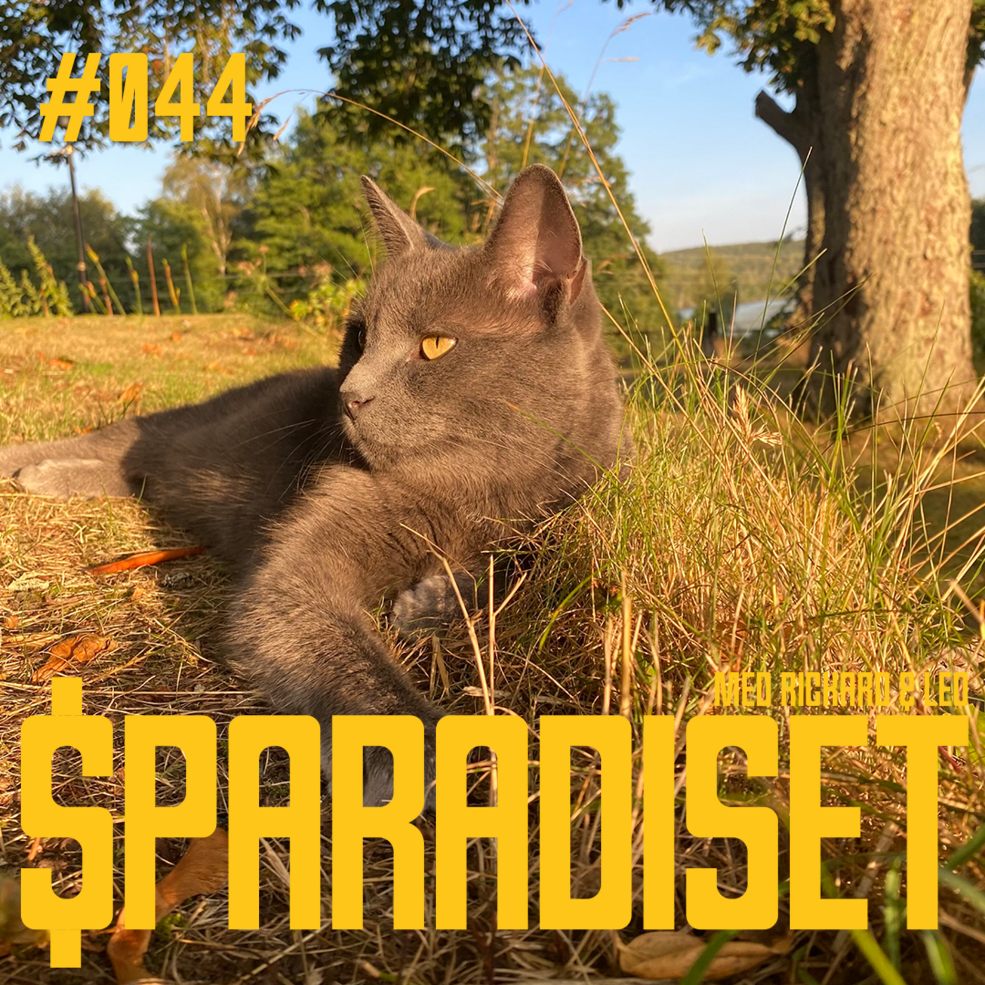 Sparadiset