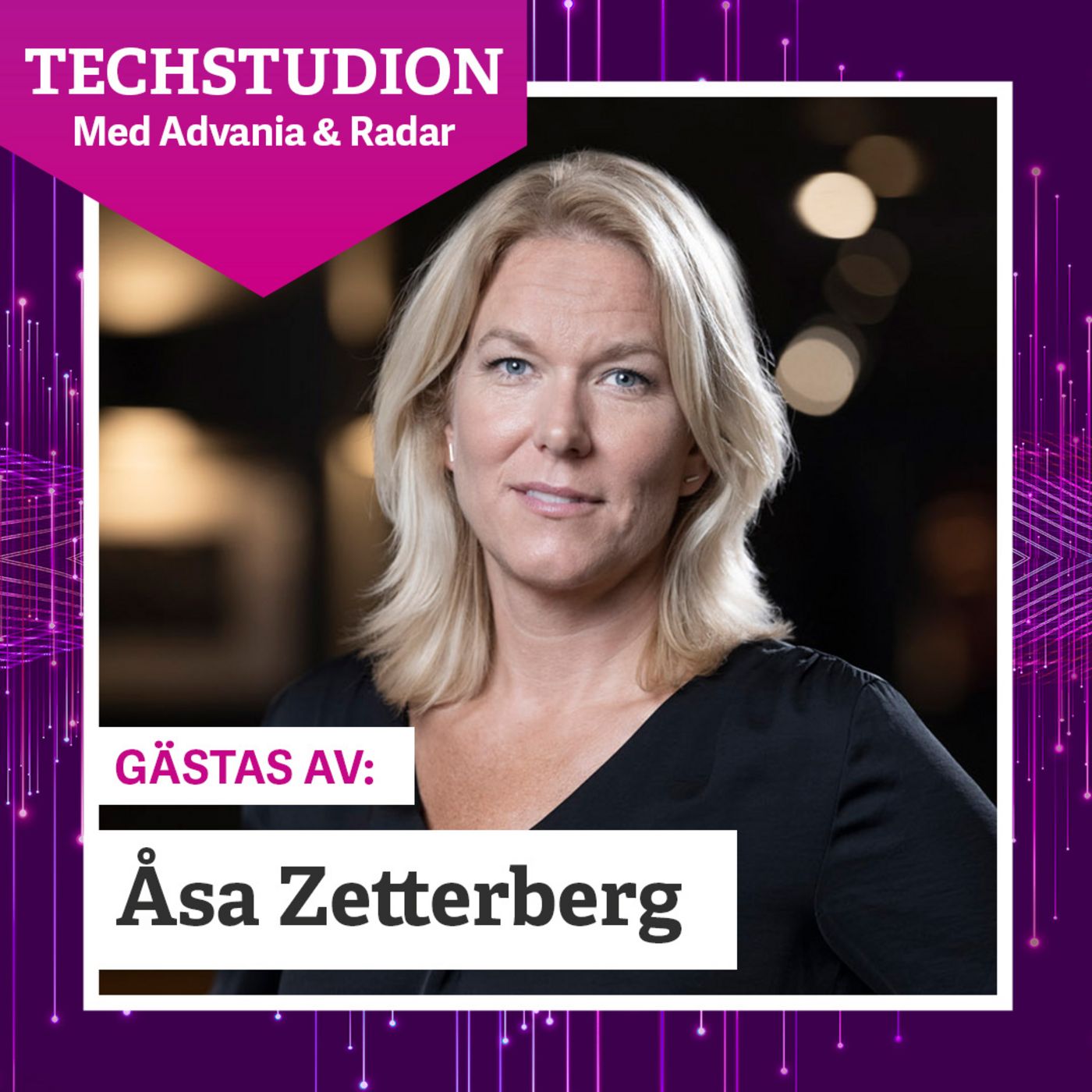 Tech som tillväxtmotor – Åsa Zetterberg om Sveriges digitala styrka Tech som tillväxtmotor – Åsa Zetterberg om Sveriges digitala styrka