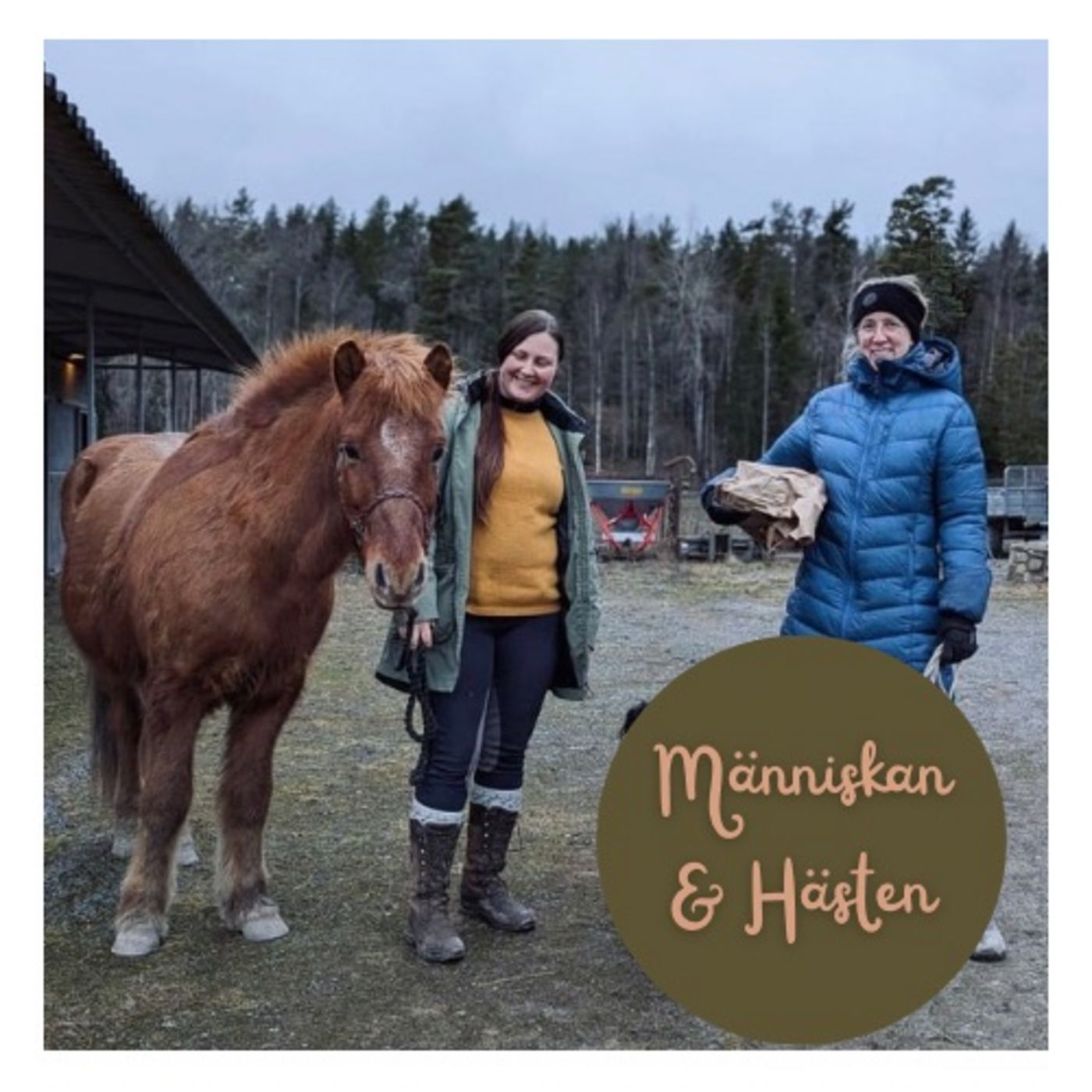 Avsnitt 58 Det är olagligt att aga en häst... om våld med Lina Bardach