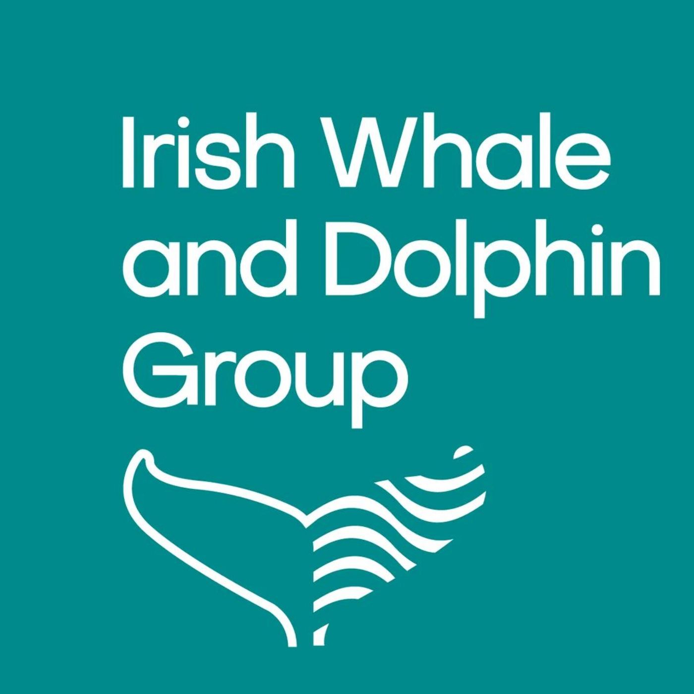Local Spotlight - Mayo Irish Whale and Dolphin Group IWDG Local Spotlight - Mayo Irish Whale and Dolphin Group IWDG