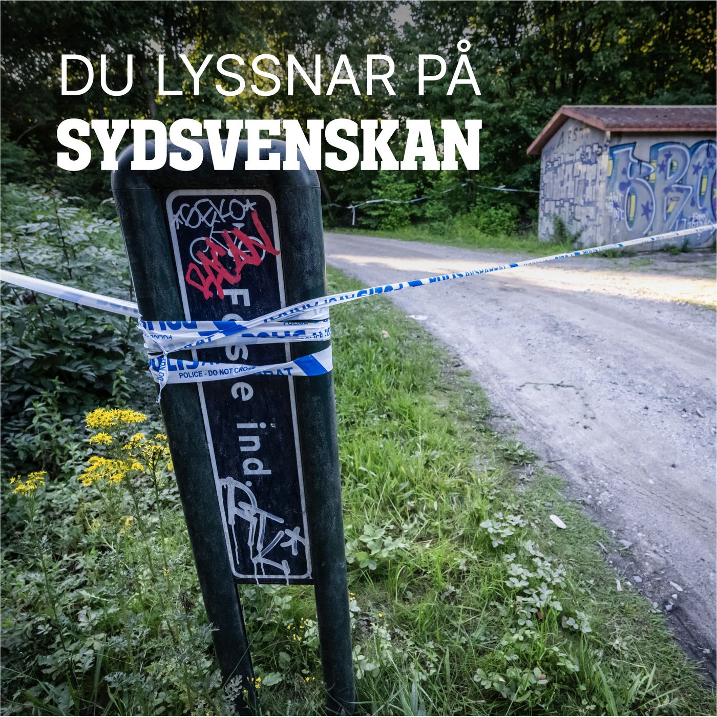 Mysteriet med de uppbrända britterna episode artwork