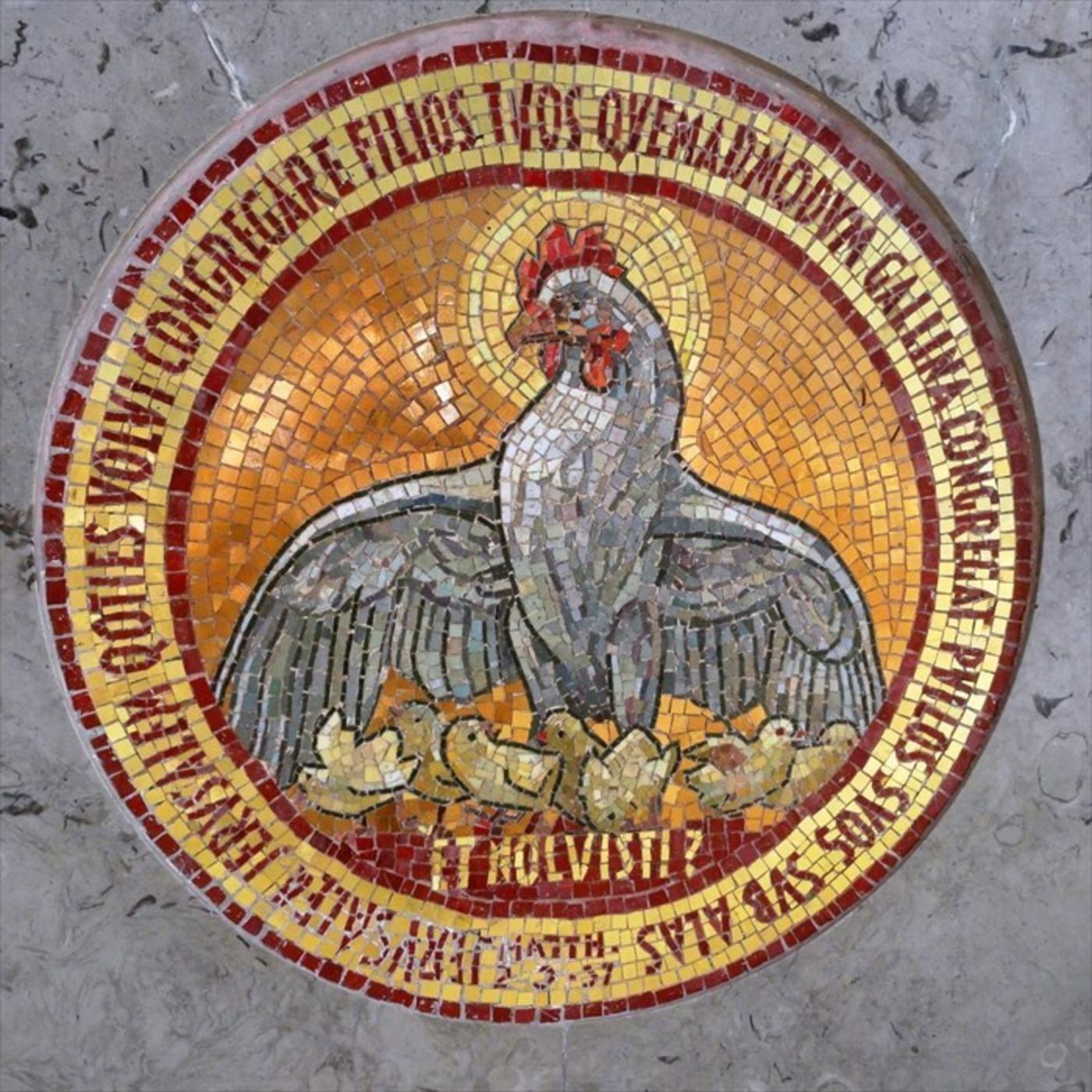 Szentháromság ünnepe után 2. vasárnap - MGyTK episode artwork