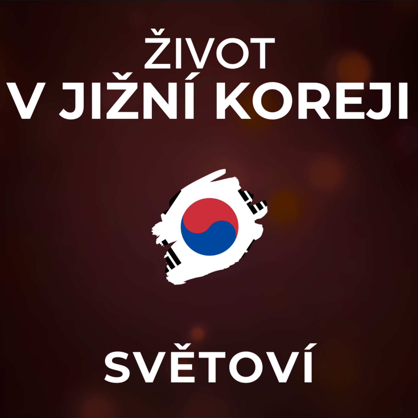 Bydlení v Jižní Koreji je šíleně nedostupné. Byt velký 7m² stojí 300 € měsíčně. | SVĚTOVÍ episode artwork