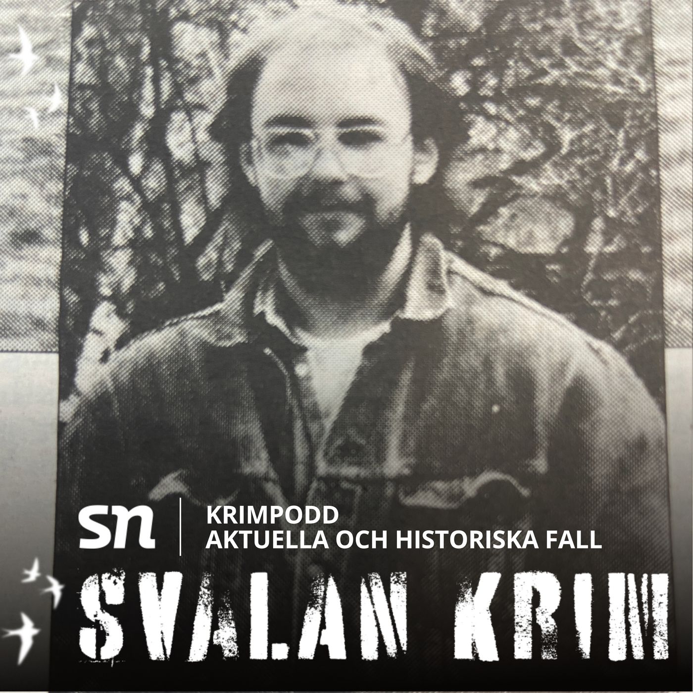 Svalan Krim