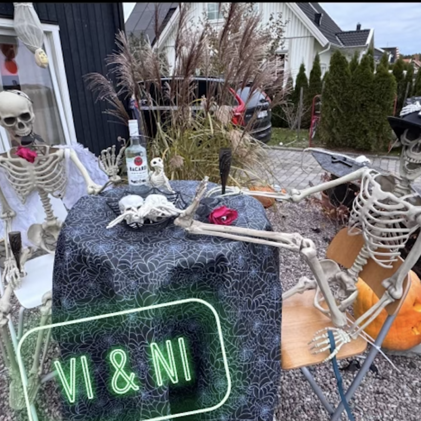Avsnitt 2 - Sjukdomar och Halloween