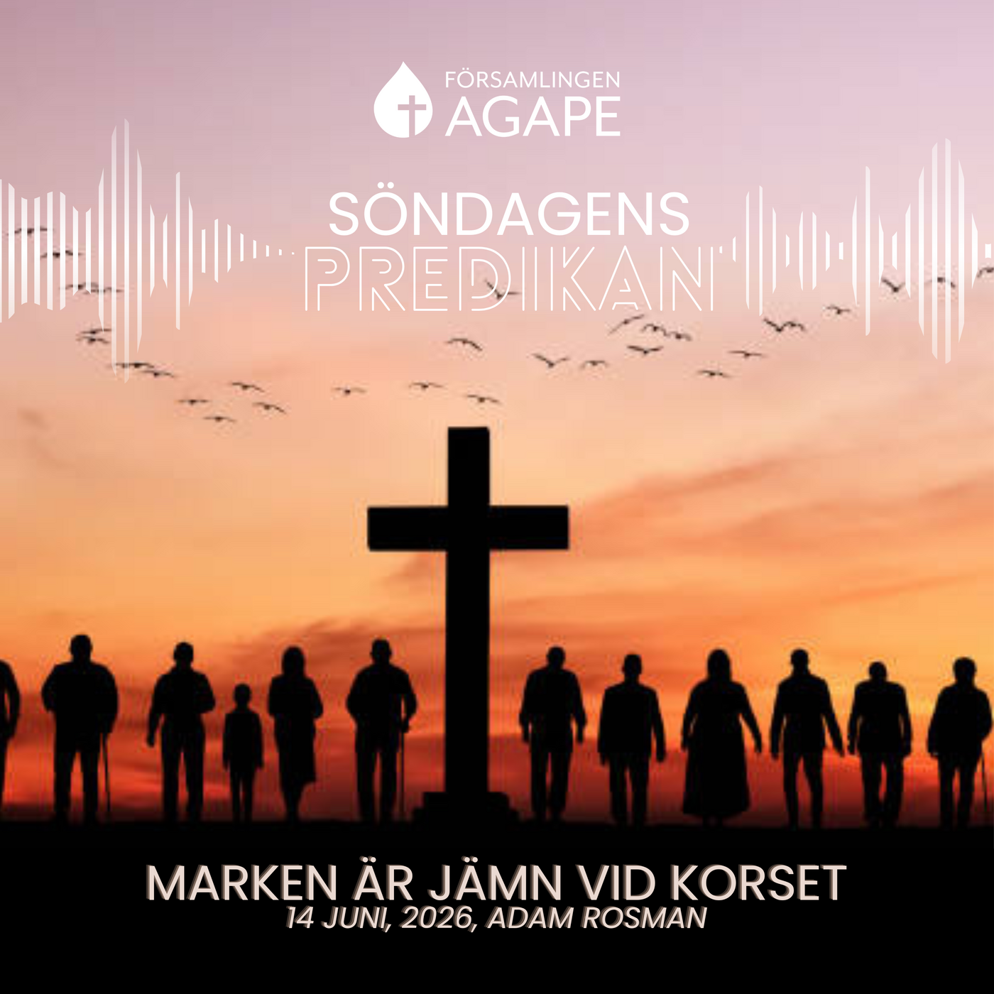 Marken är jämn vid korset (Adam Rosman) episode artwork