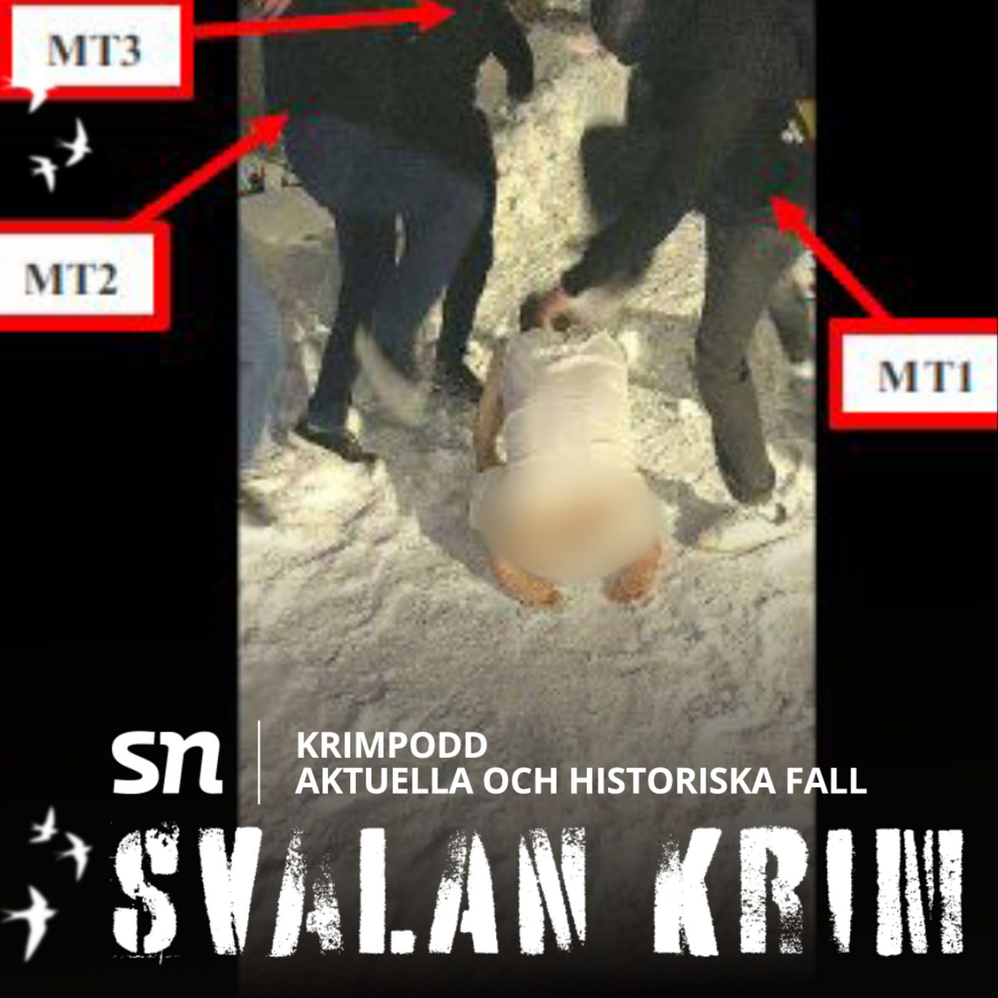 Svalan Krim