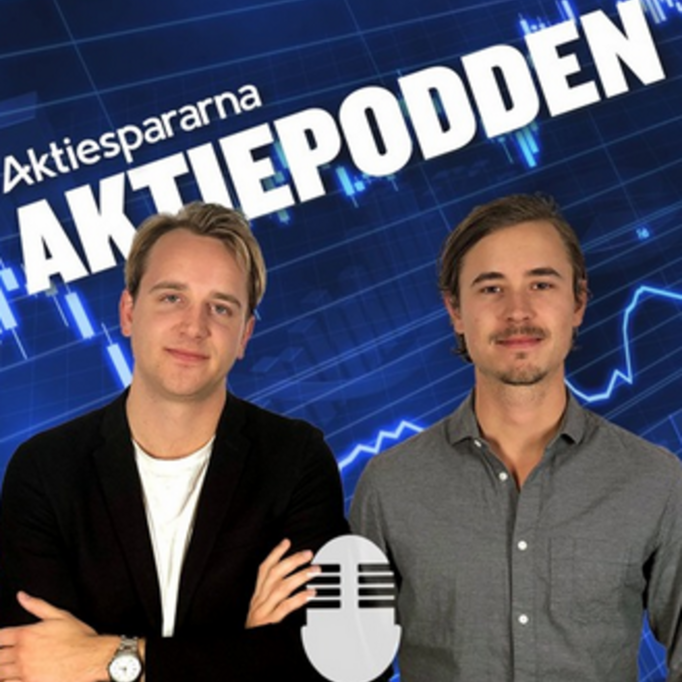 Aktiepodden
