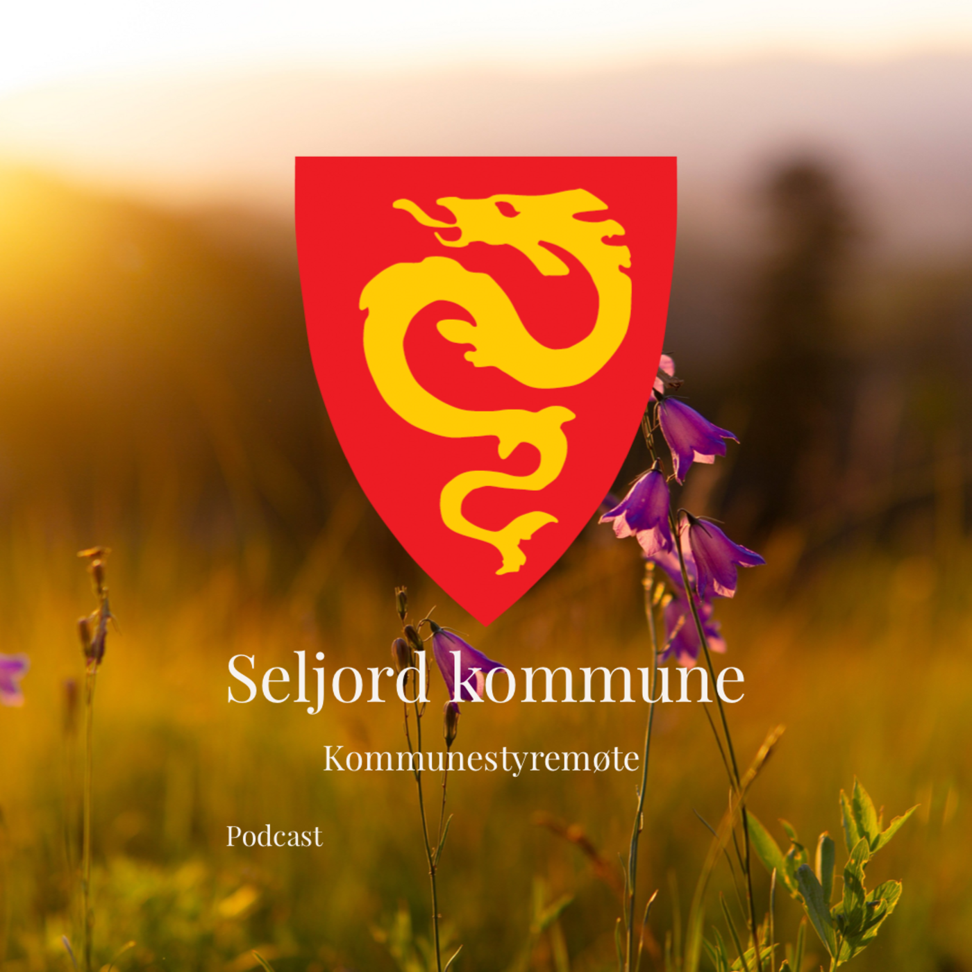 Seljord 2. september 2021