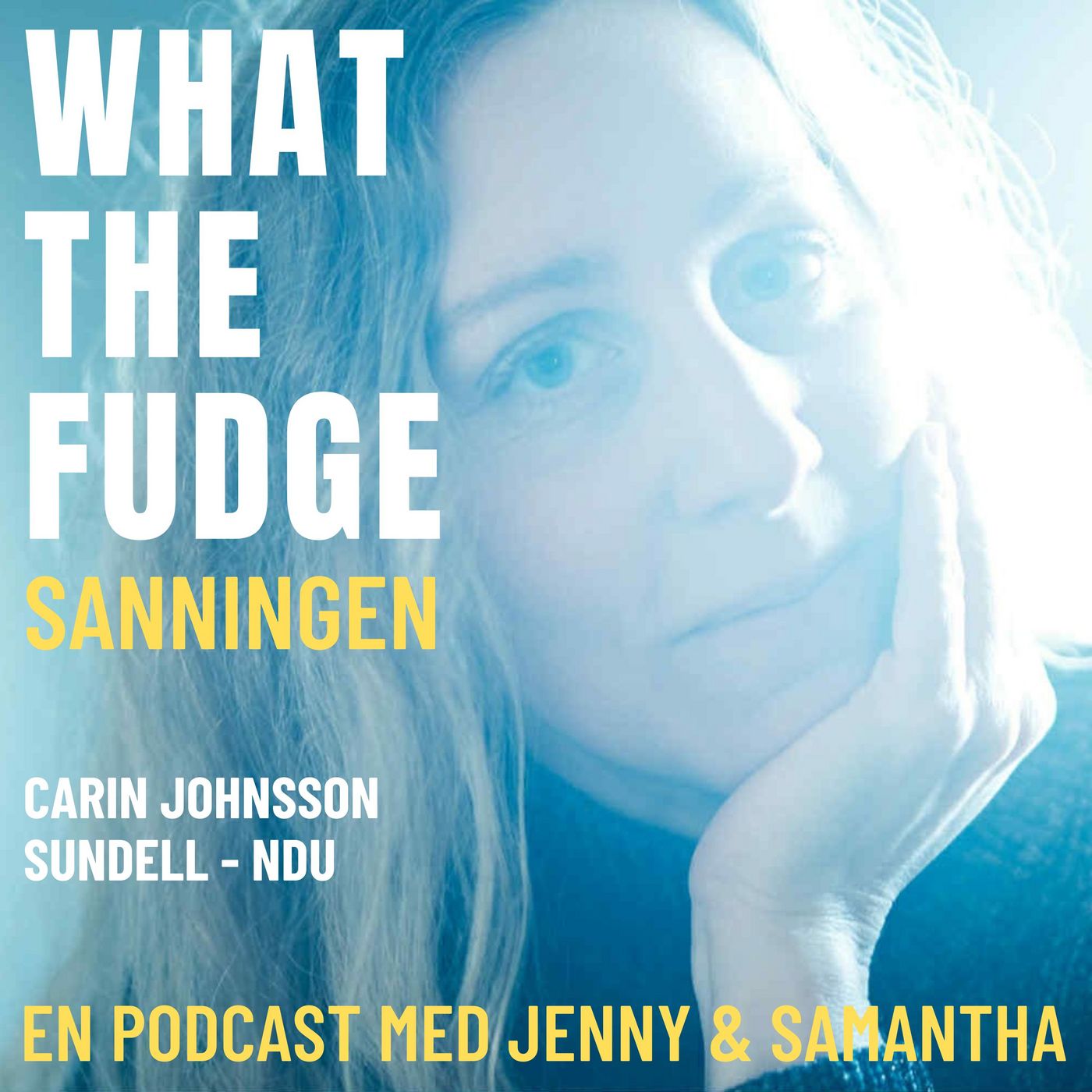 W32. Carin Johnsson Sundell - NDU - Fick en massiv hjärnblödning och sprängdes ut i Universum med en känsla av att vara en del av hela skapelsen