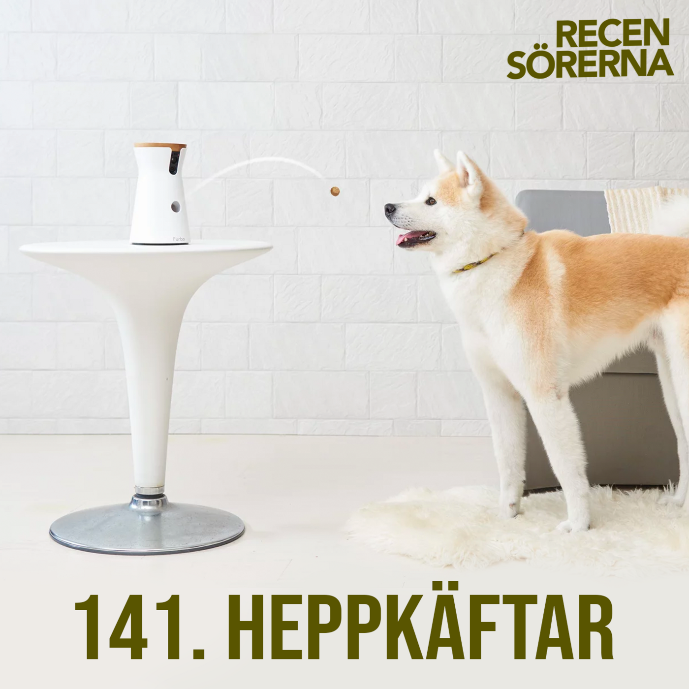 141. Heppkäftar