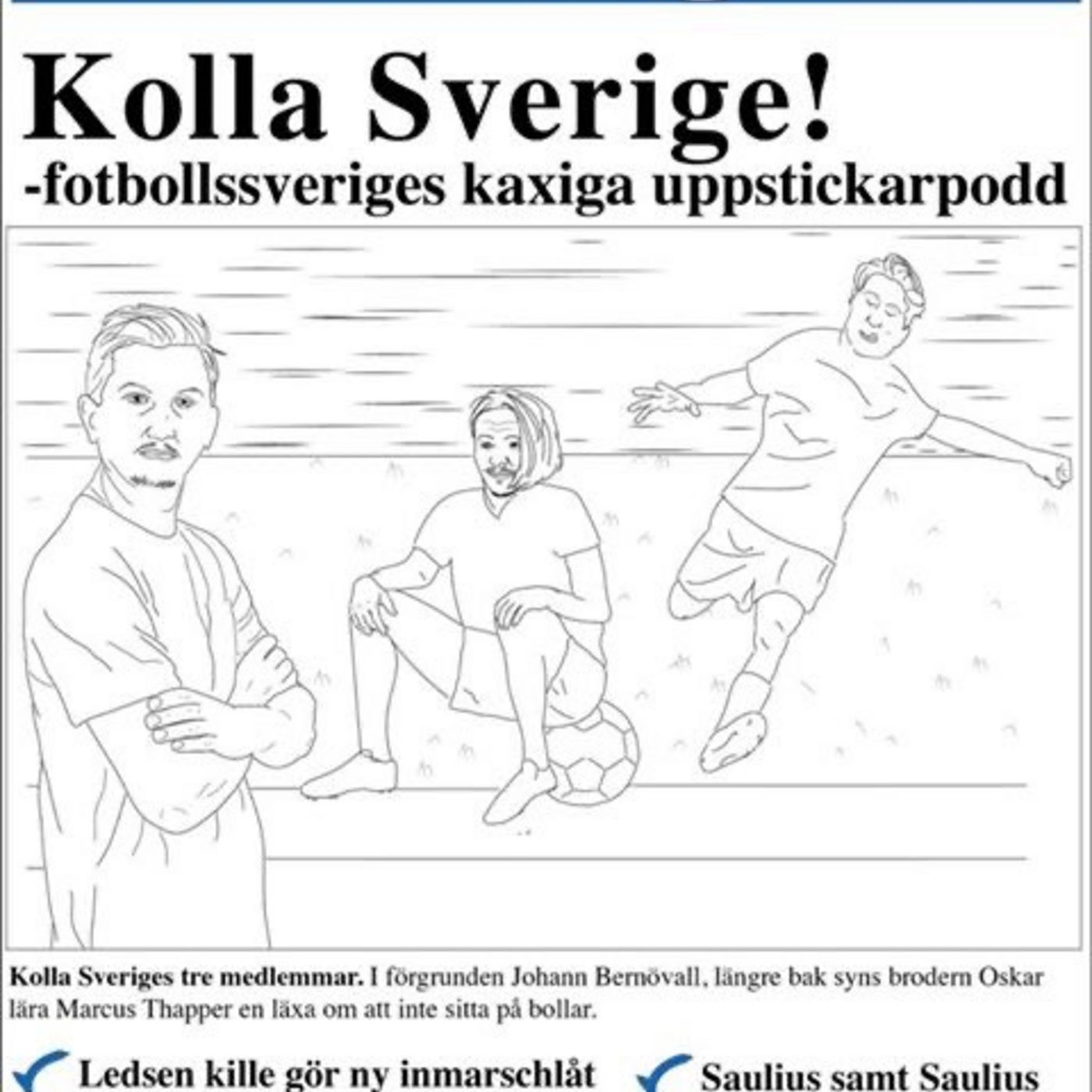 Kolla svensken!