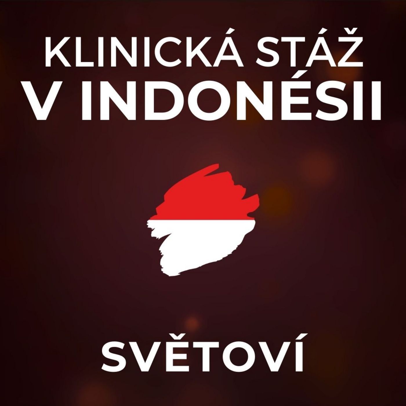 Klinická stáž v Indonésii: Ženy se lékaři vyhýbají. Na chodbách nemocnic žijí celé rodiny. | SVĚTOVÍ Klinická stáž v Indonésii: Ženy se lékaři vyhýbají. Na chodbách nemocnic žijí celé rodiny. | SVĚTOVÍ