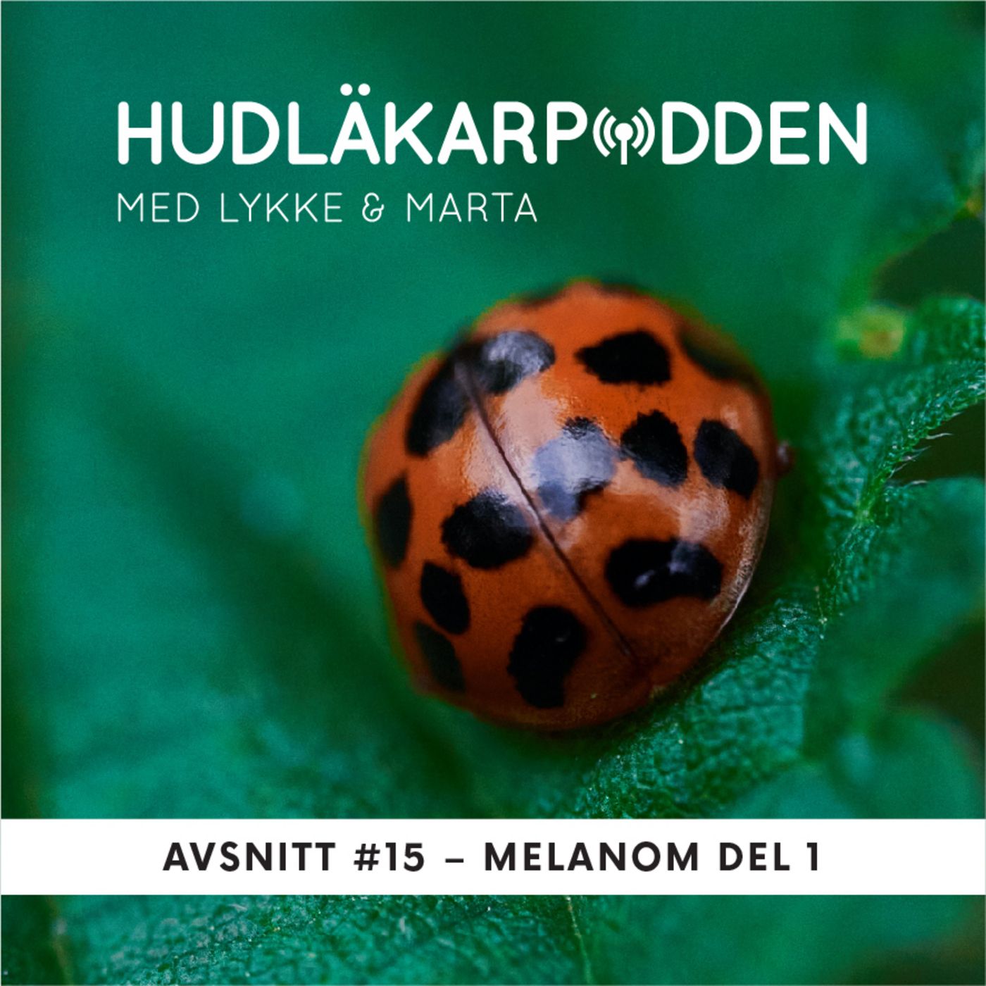 Hudläkarpodden