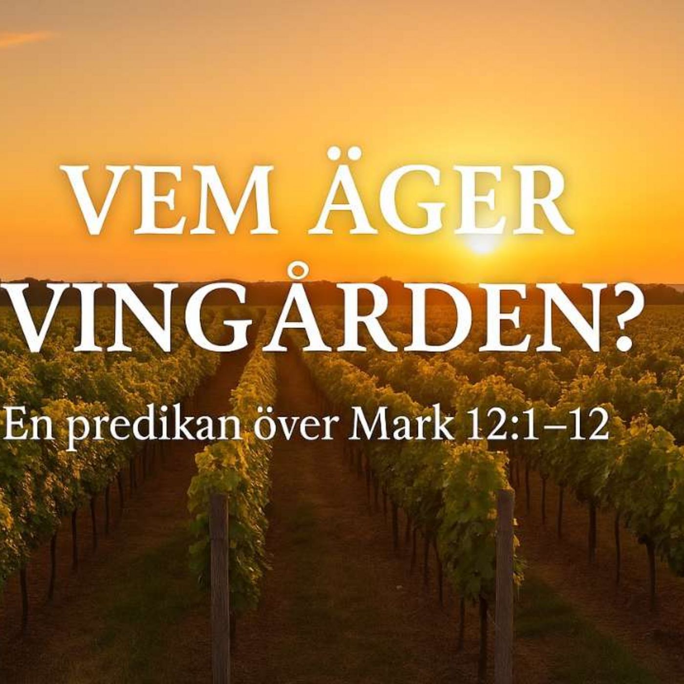 Har du glömt vem som äger vingården? 🍷