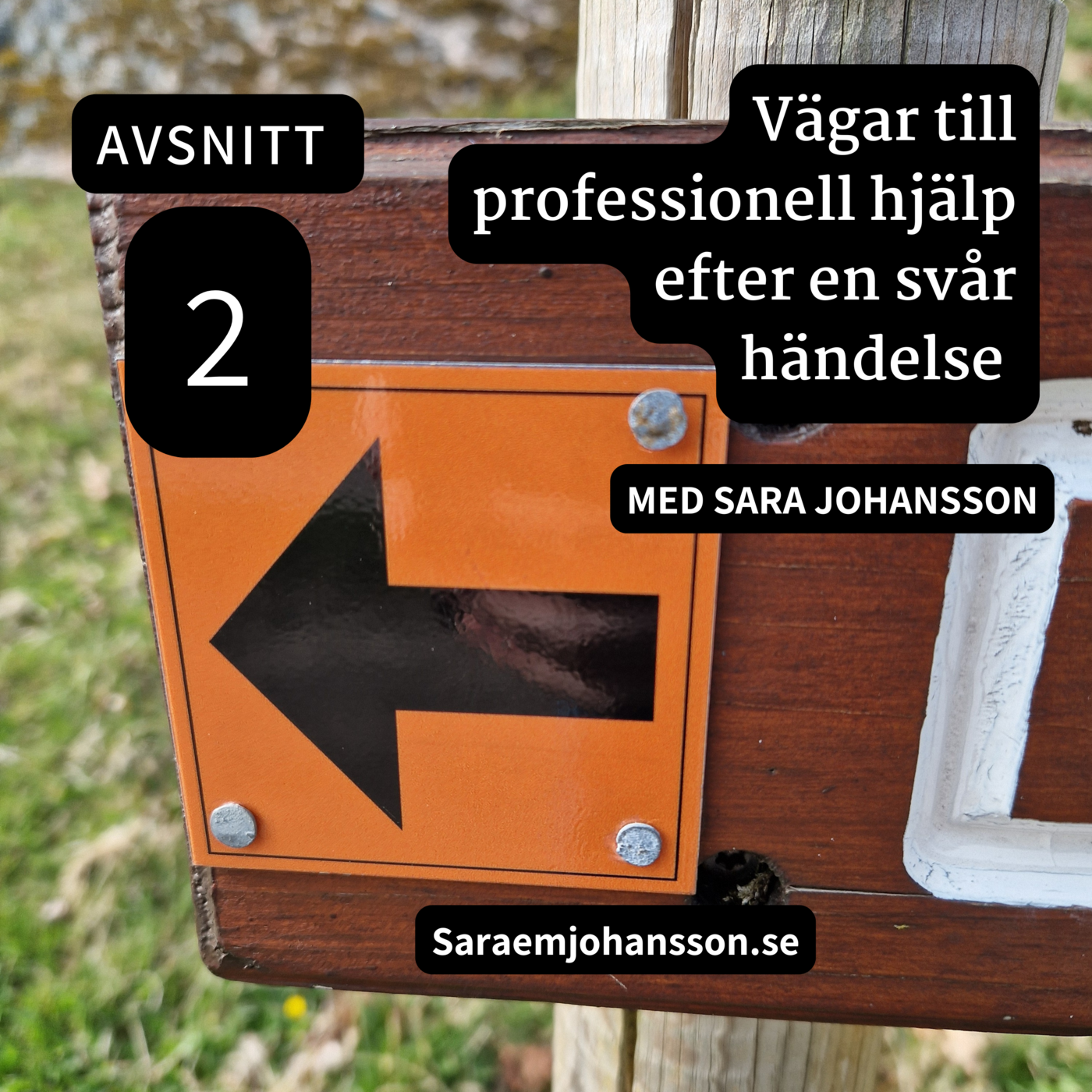 2. Vägar till professionell hjälp efter en svår händelse