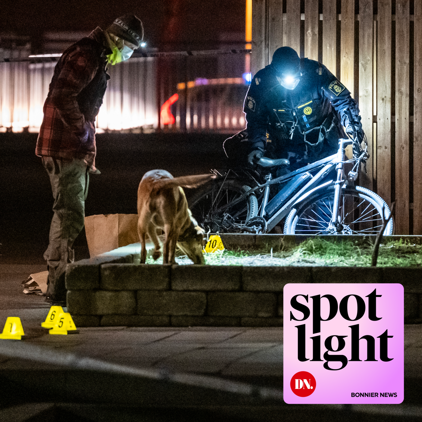 Fem skjutningar på fem dagar – vad hände?