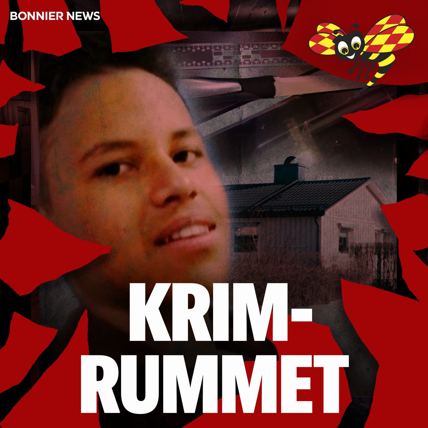 Bodenmördaren episode artwork