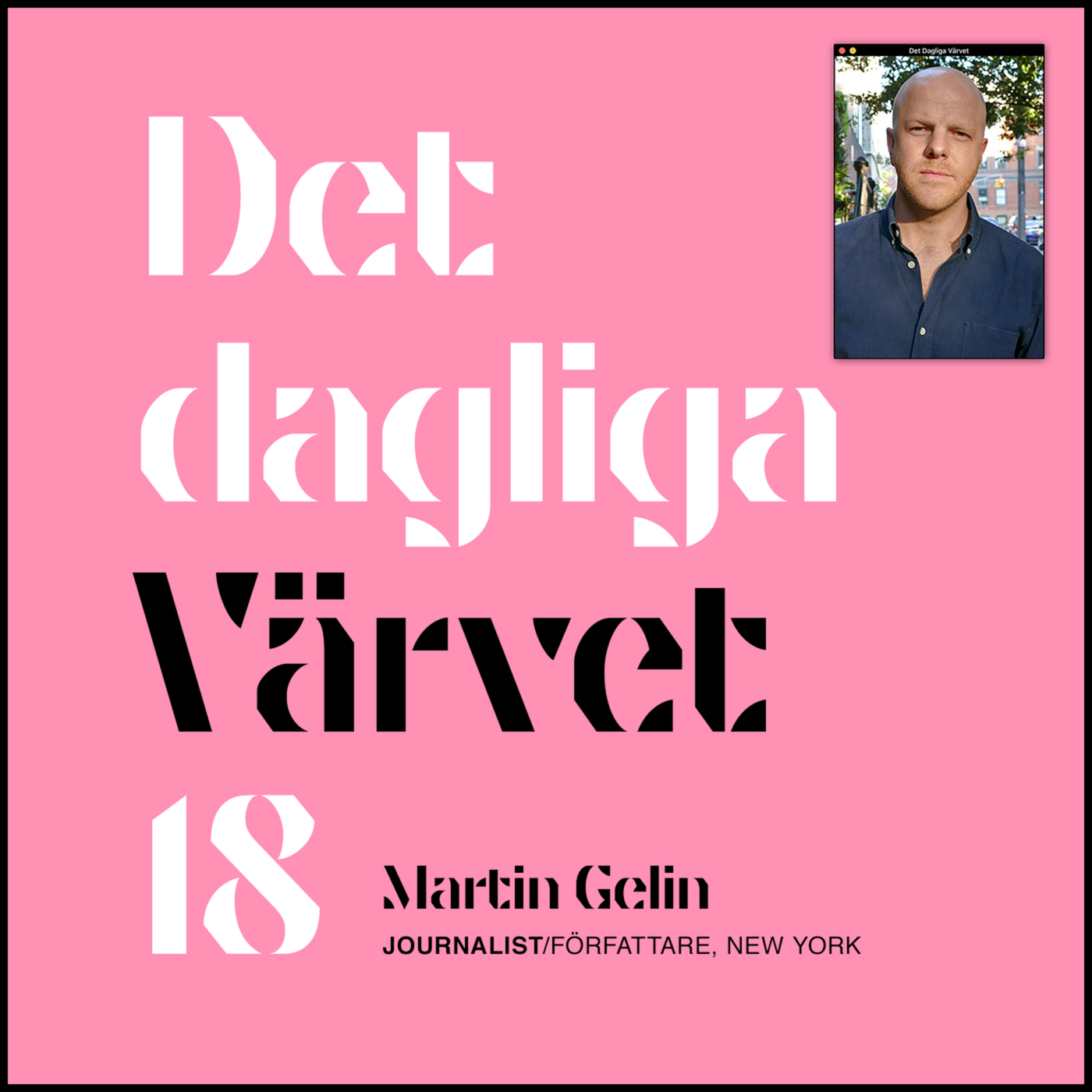 DET DAGLIGA VÄRVET #18 MARTIN GELIN