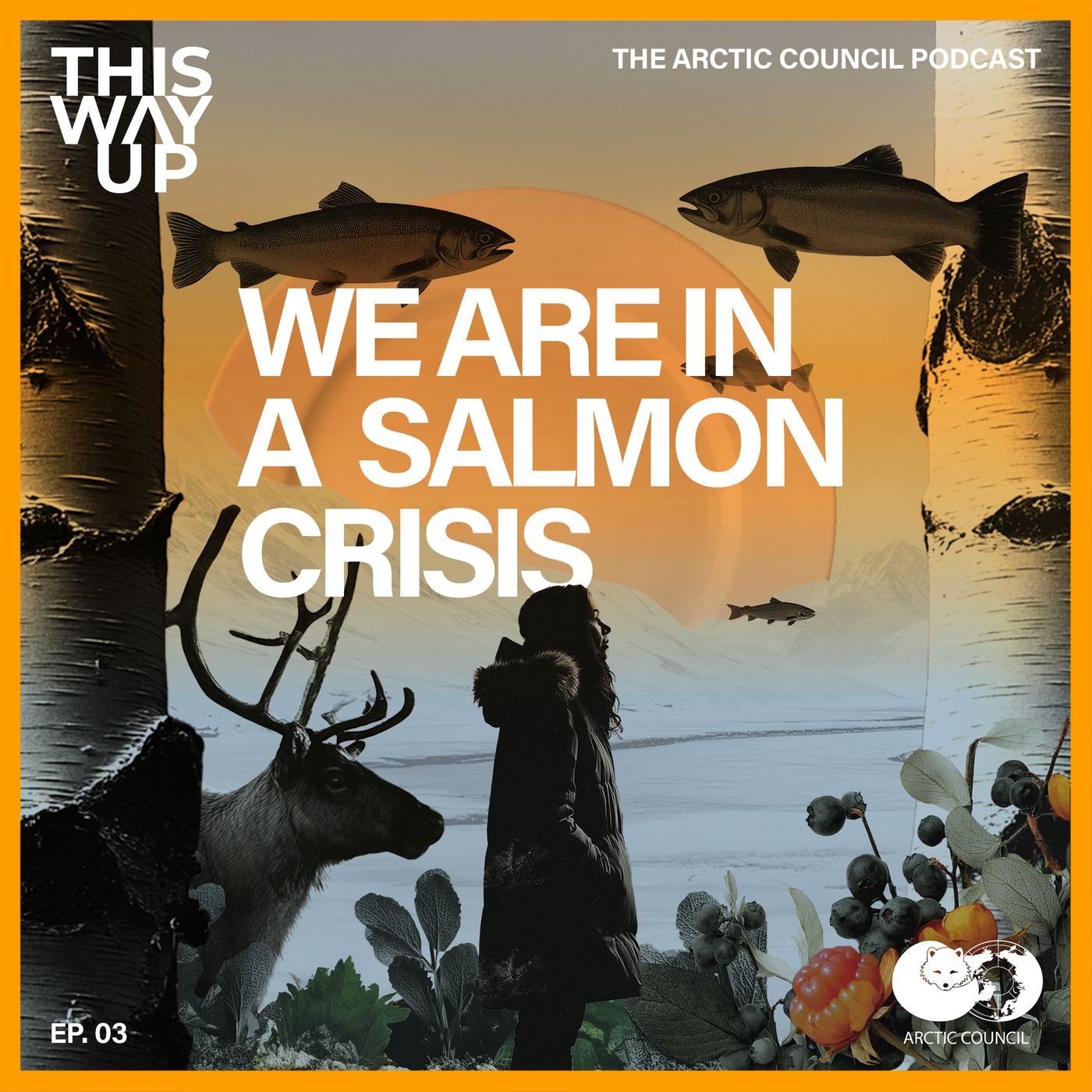 We Are in a Salmon Crisis