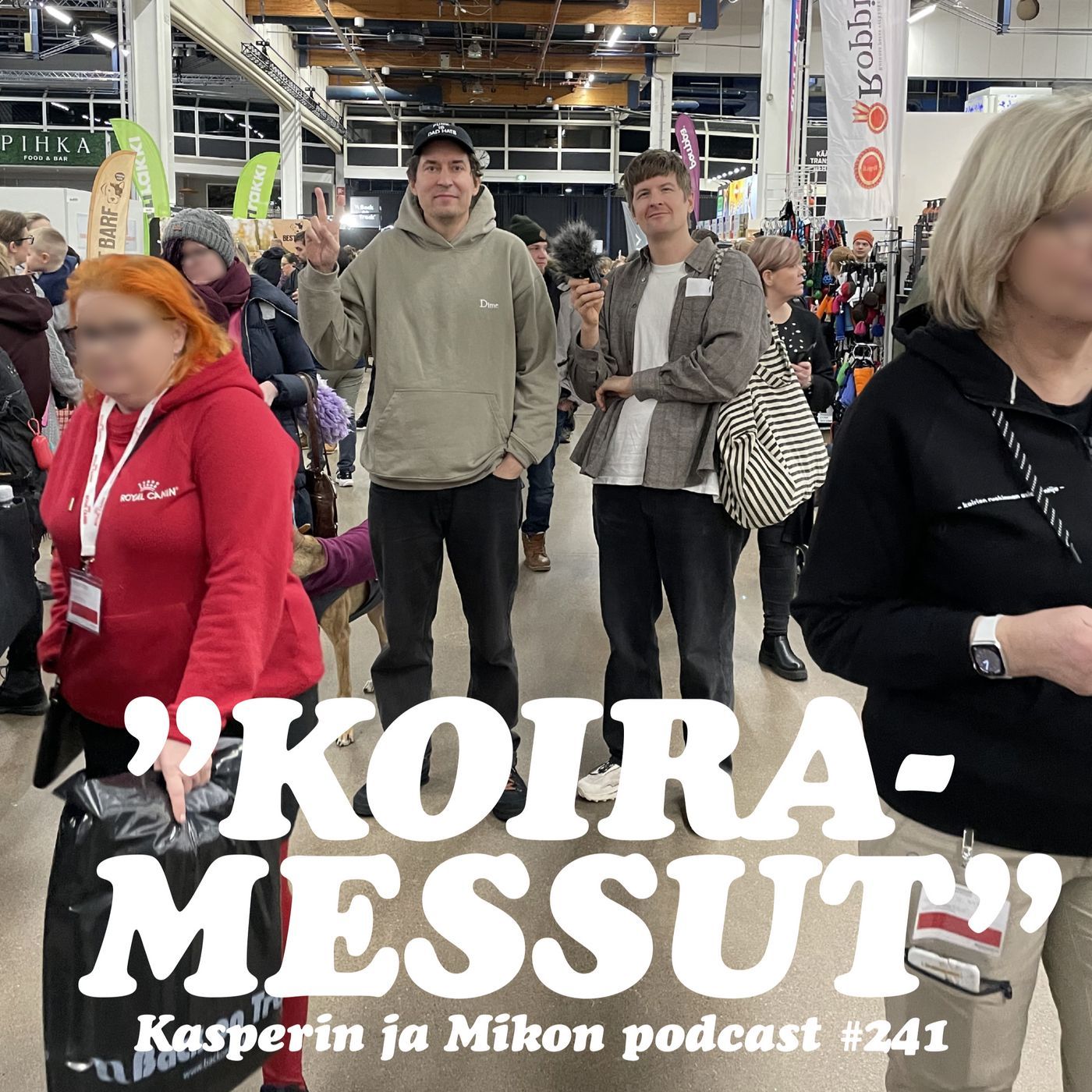 241. Koiramessut