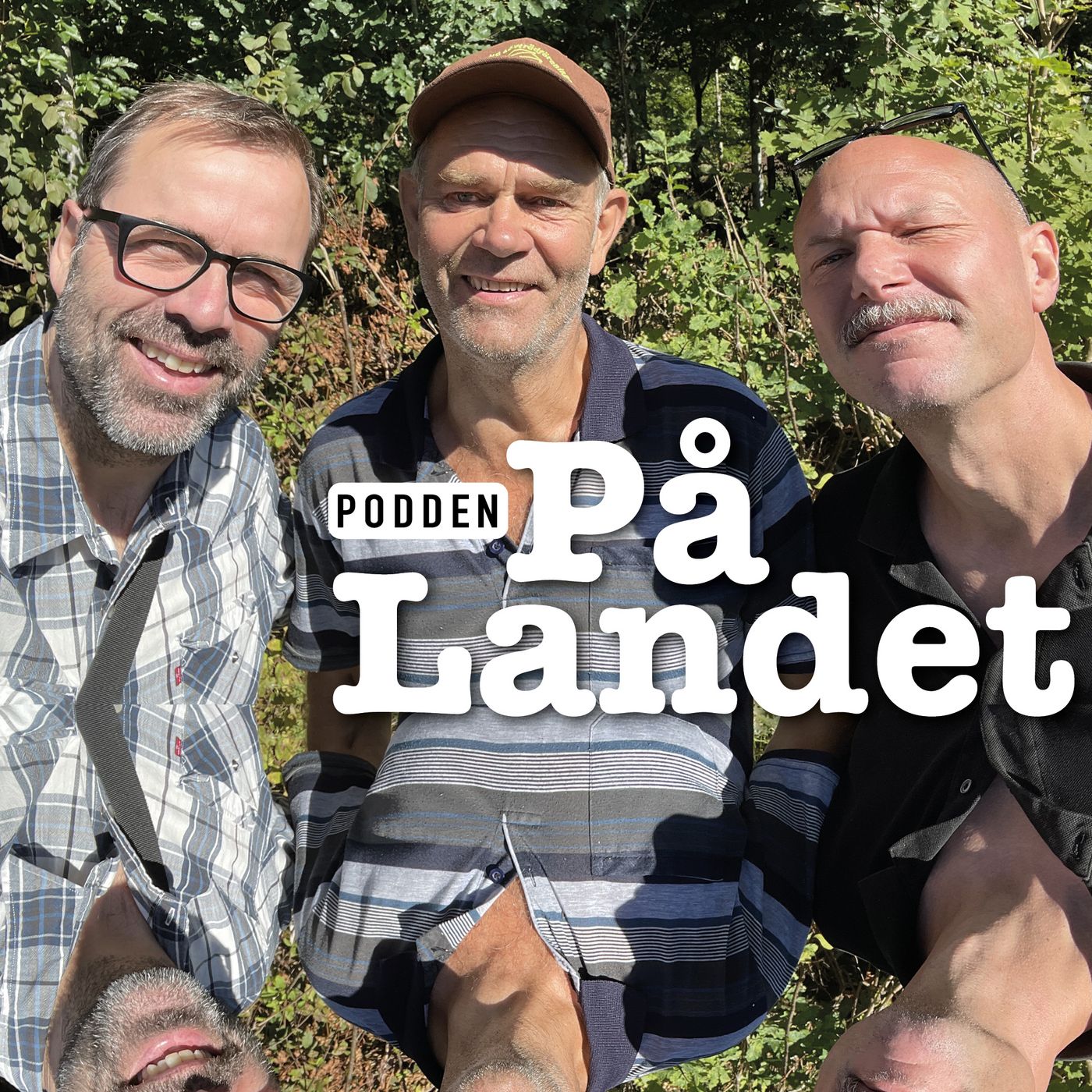 Skogsbruk utan kalhyggen