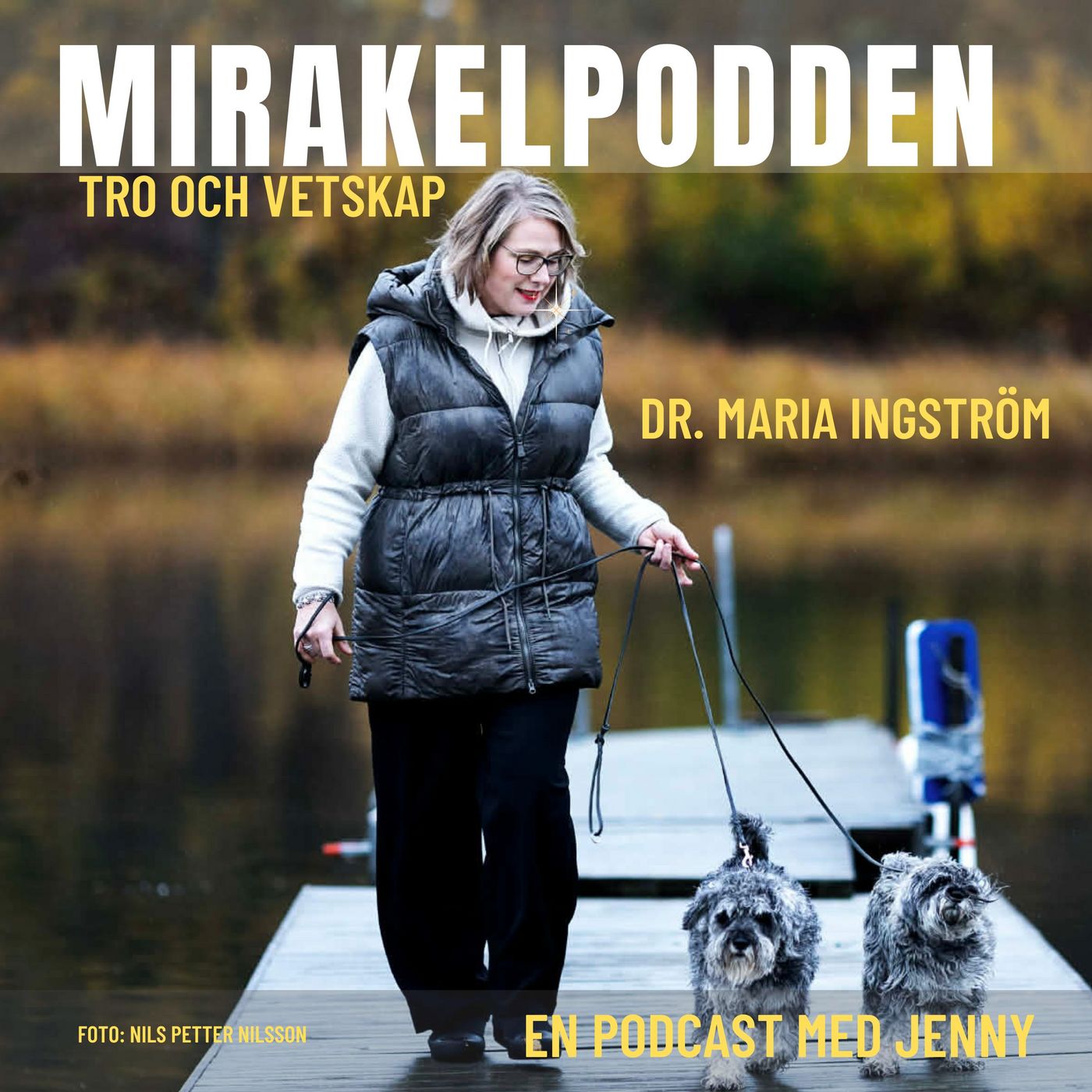 6. Dr. Maria Ingström - Bältad - Från psykos till läkaren som skapar en humanare psykiatri episode artwork