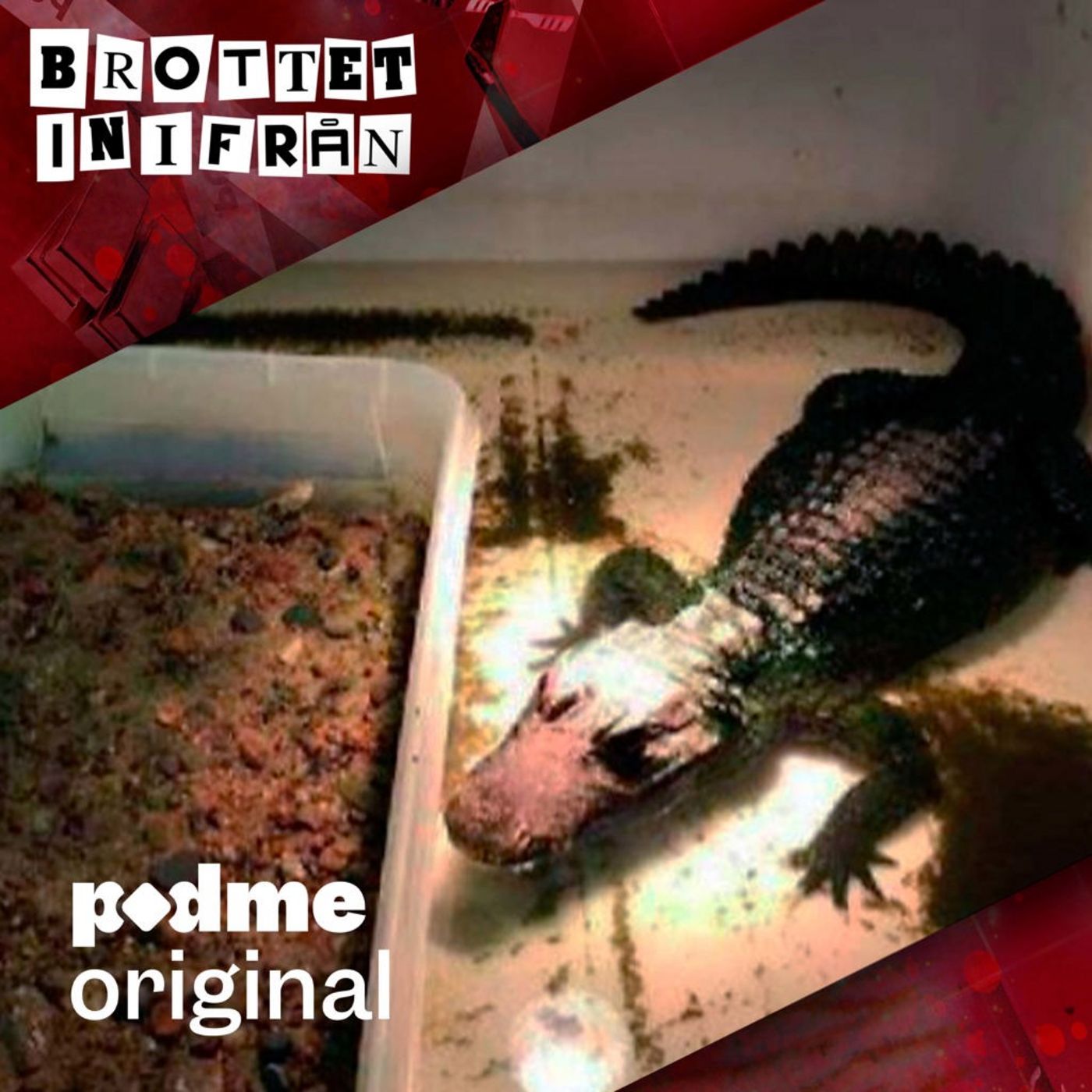 Reptilmannen i Löberöd