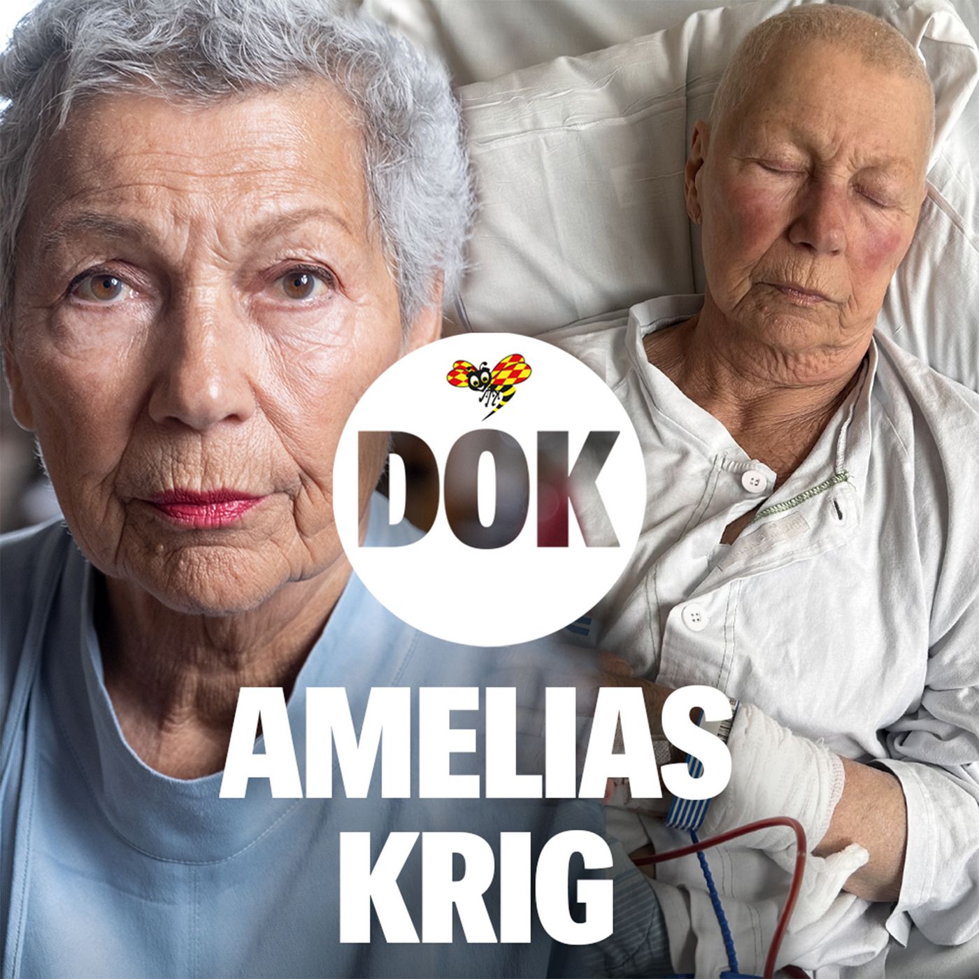 Amelias krig: Operationen (2/2)
