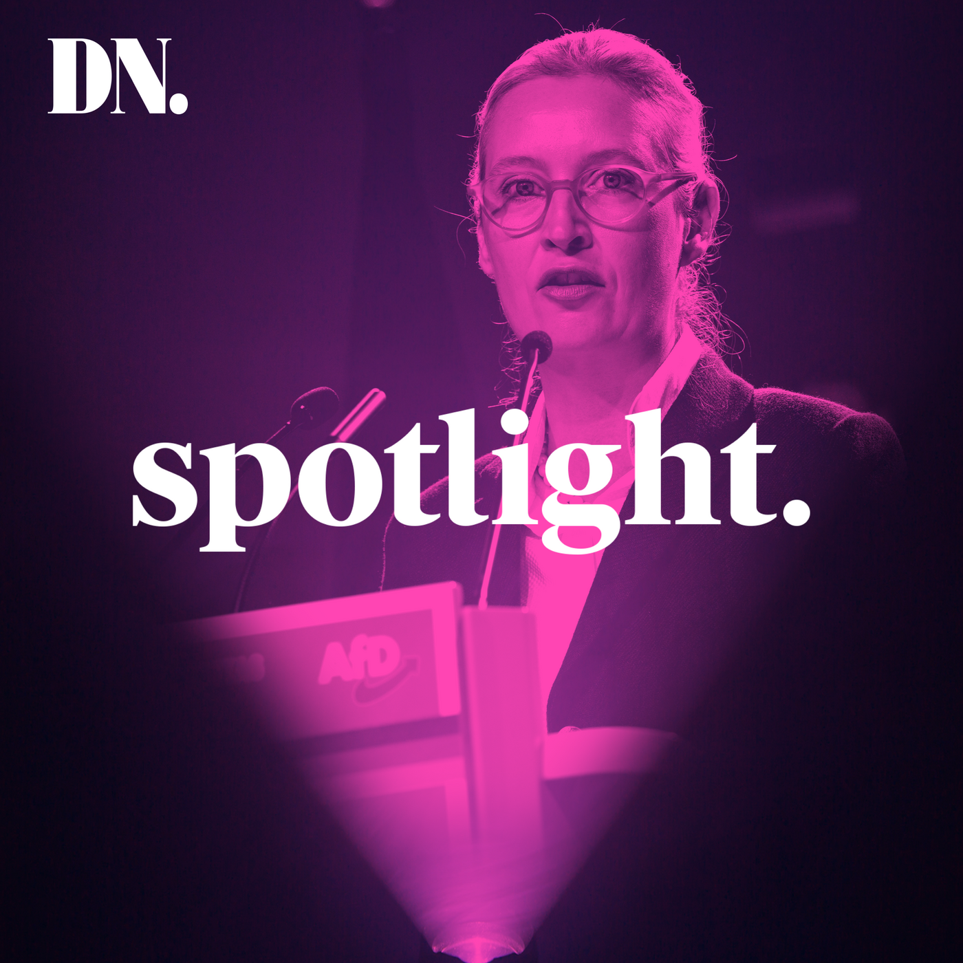 Hur kan extremhögern växa i Tyskland?