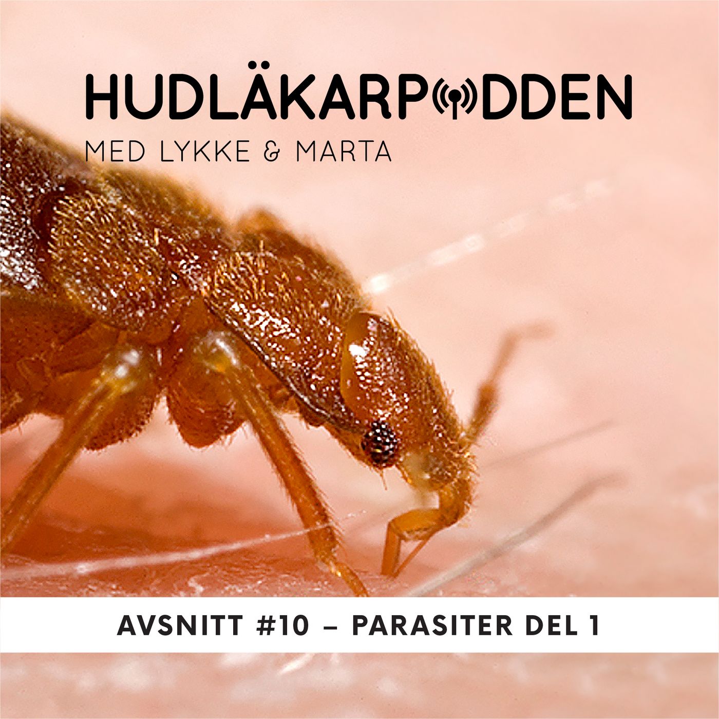 Hudläkarpodden