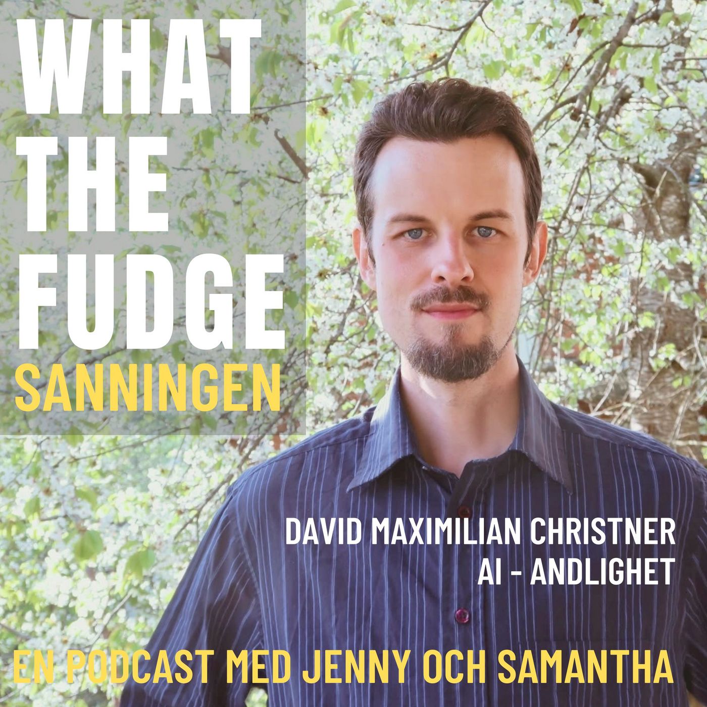 W39. David Maximilian Christner - AI, andlighet och människan episode artwork