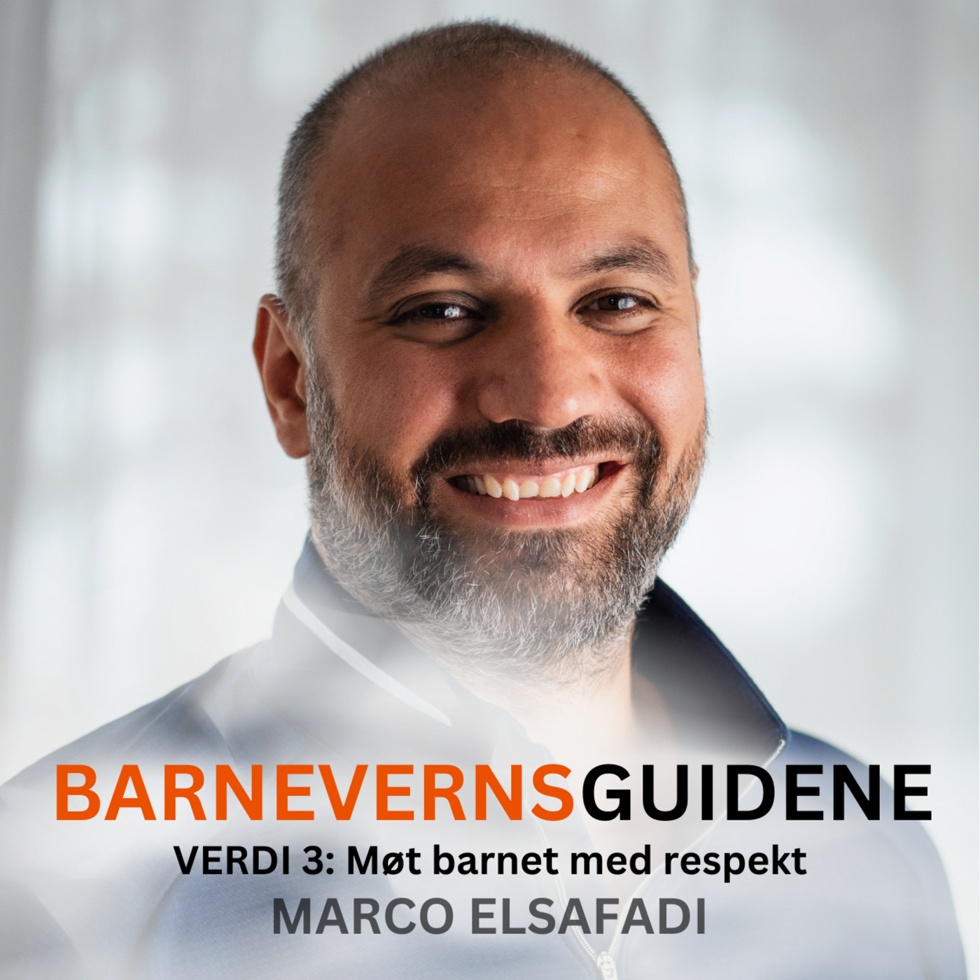 Barnevernsguidene