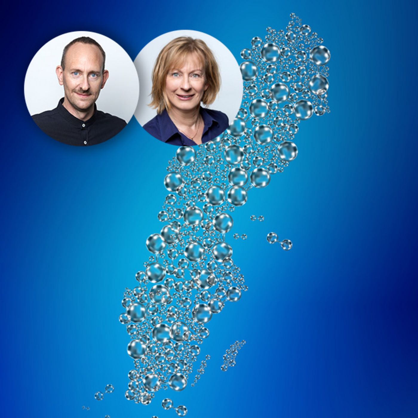 Elinstallapodden