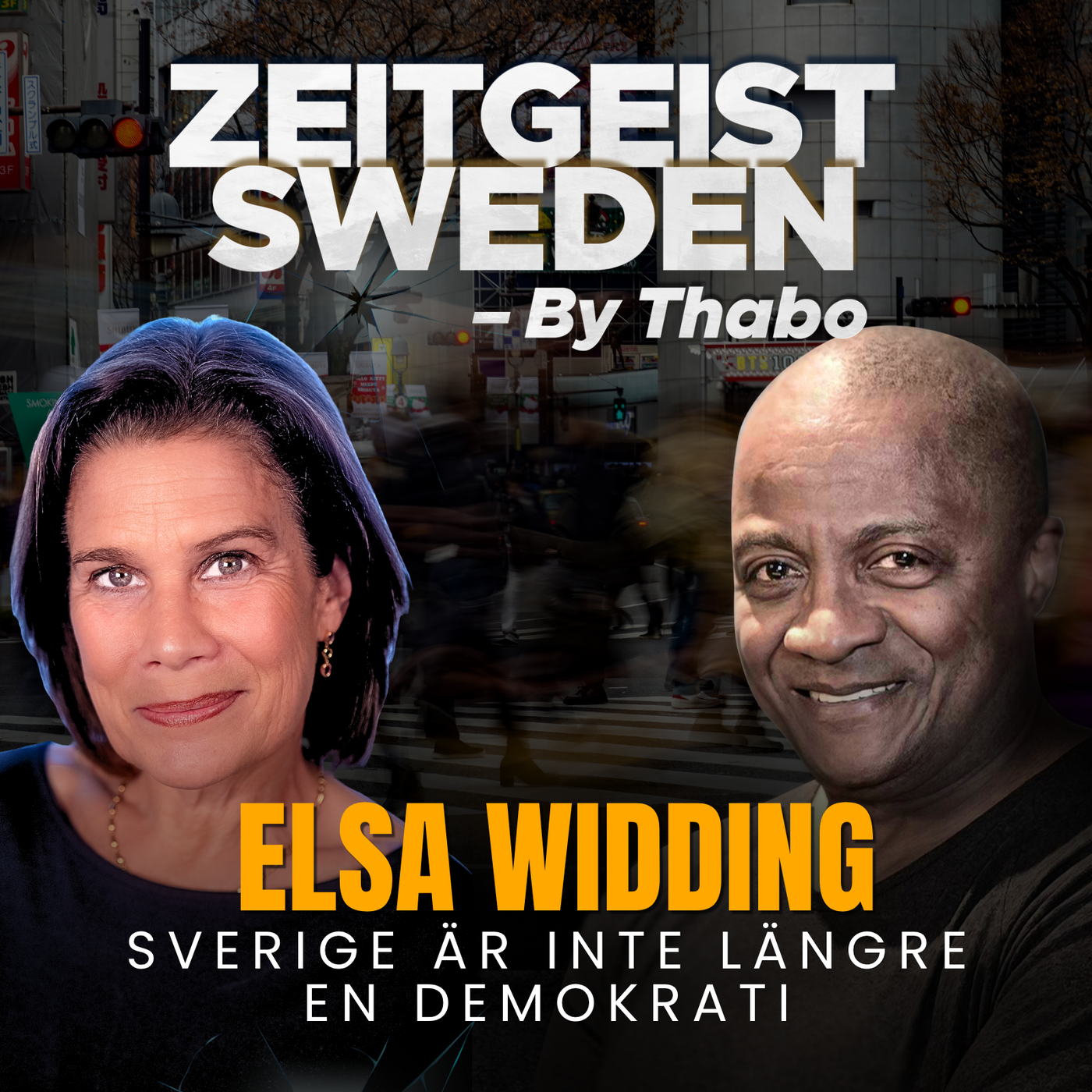 Elsa Widding : Sverige är inte en demokrati längre episode artwork