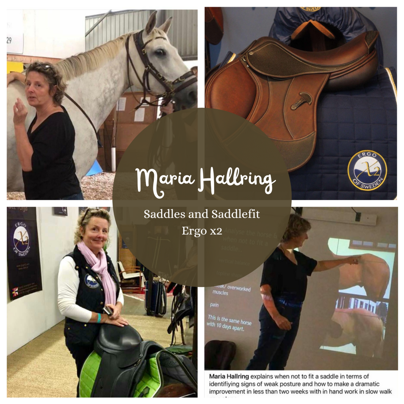 Avsnitt 50 Saddles and saddlefit with Maria Hallring episode artwork