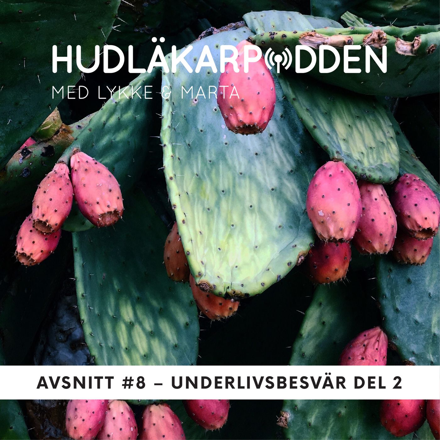 Hudläkarpodden