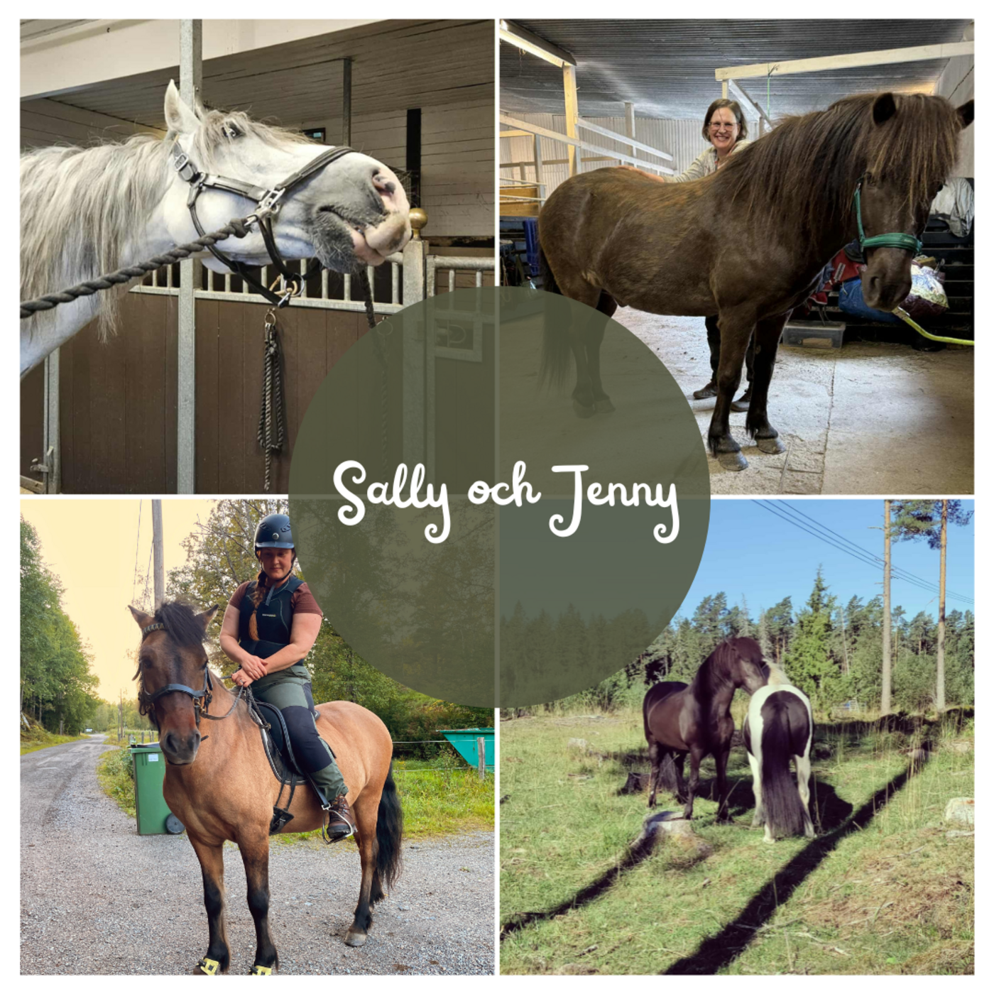 Avsnitt 55 Sally och Jenny unghästar, jobb och tjejnyår! episode artwork