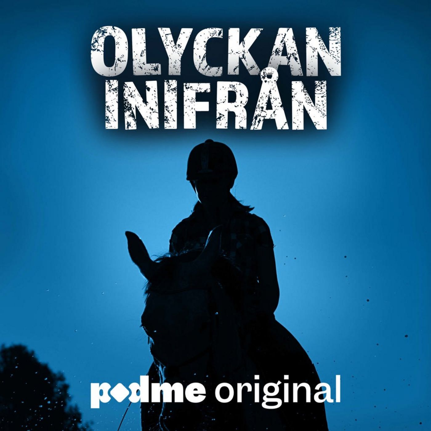 Ridolyckan Ridolyckan