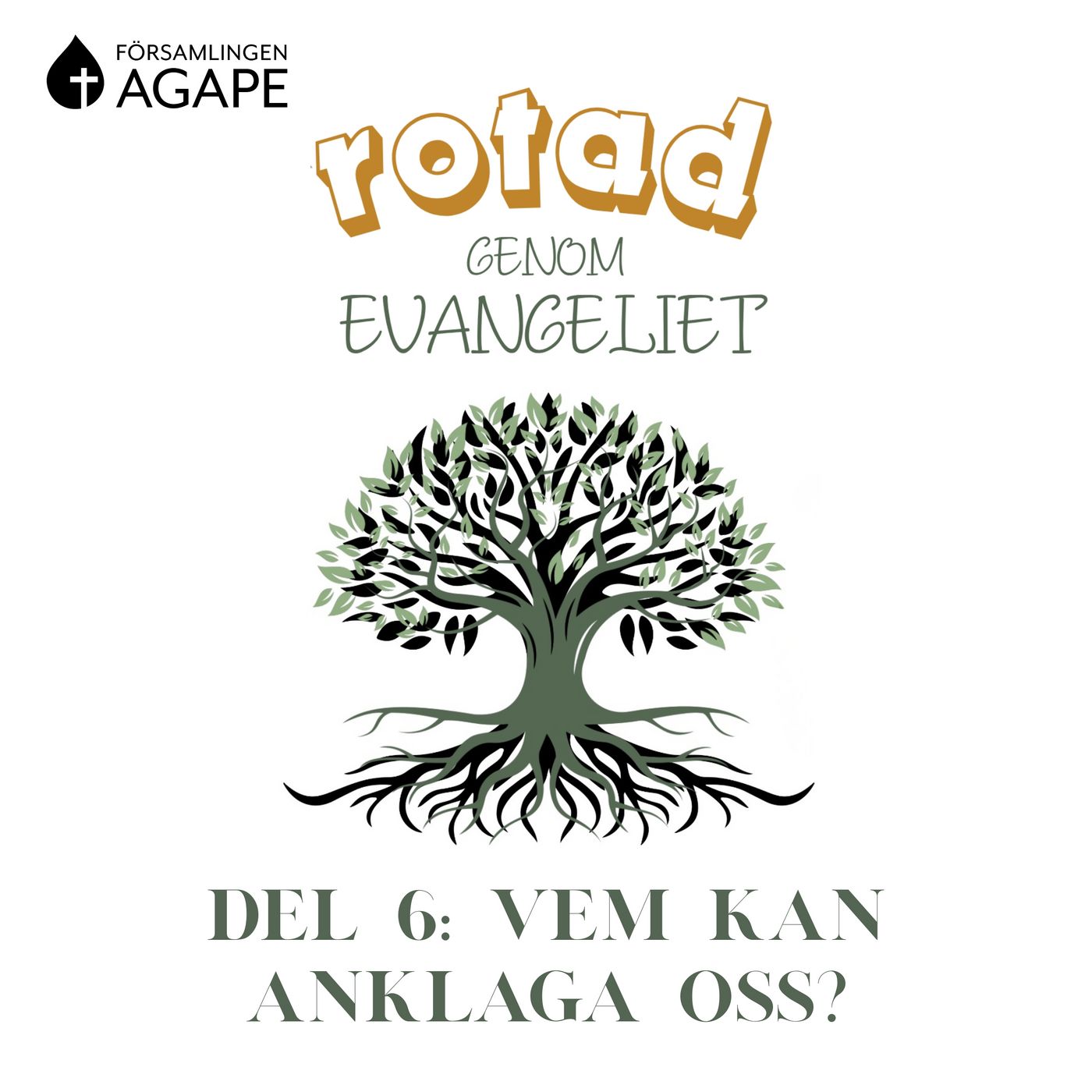 Del 6 - Vem kan anklaga oss? (Adam Rosman) episode artwork