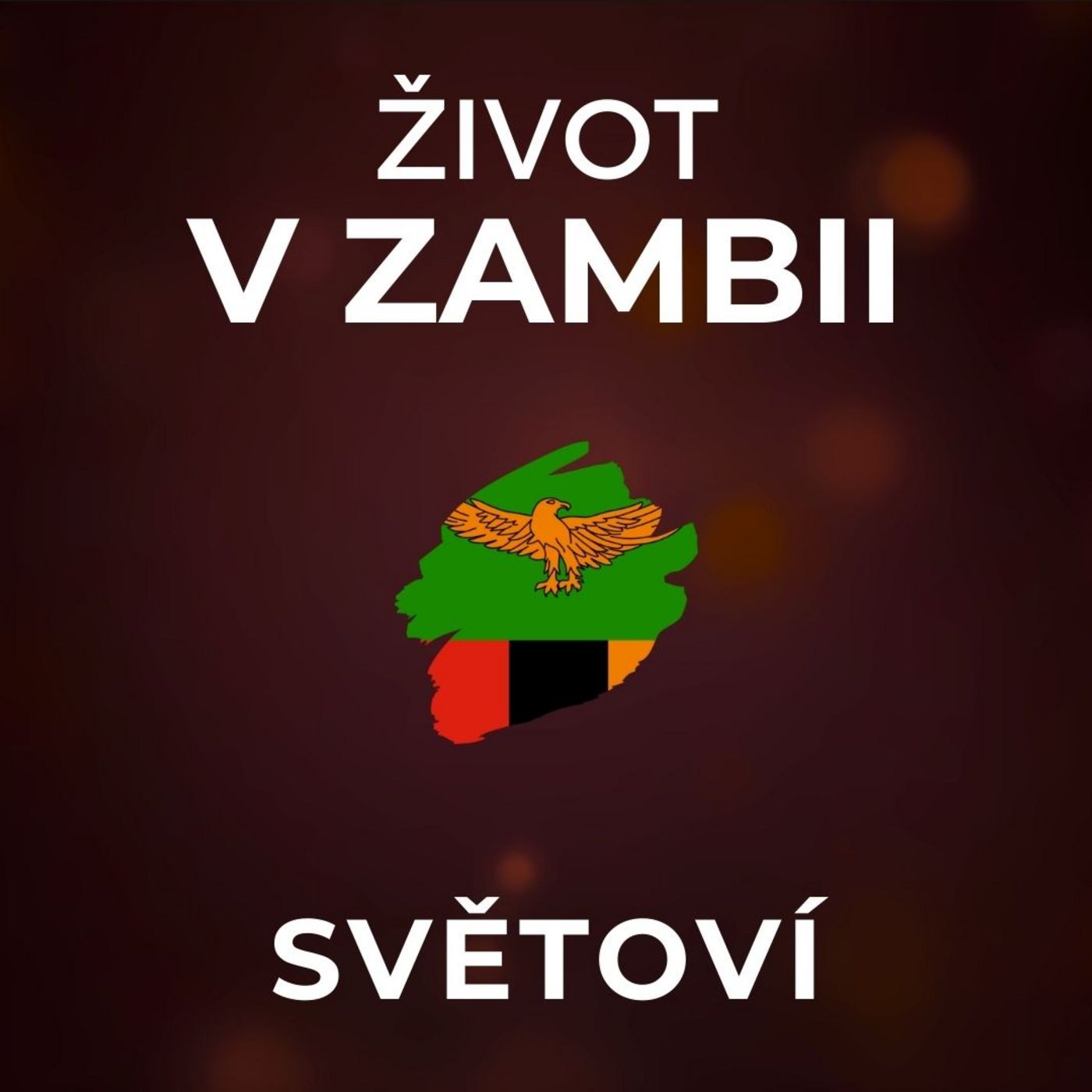 Život v Zambii: Čína je zde nový kolonizátor, ne všichni v ní ale vidí ohrožení. | SVĚTOVÍ