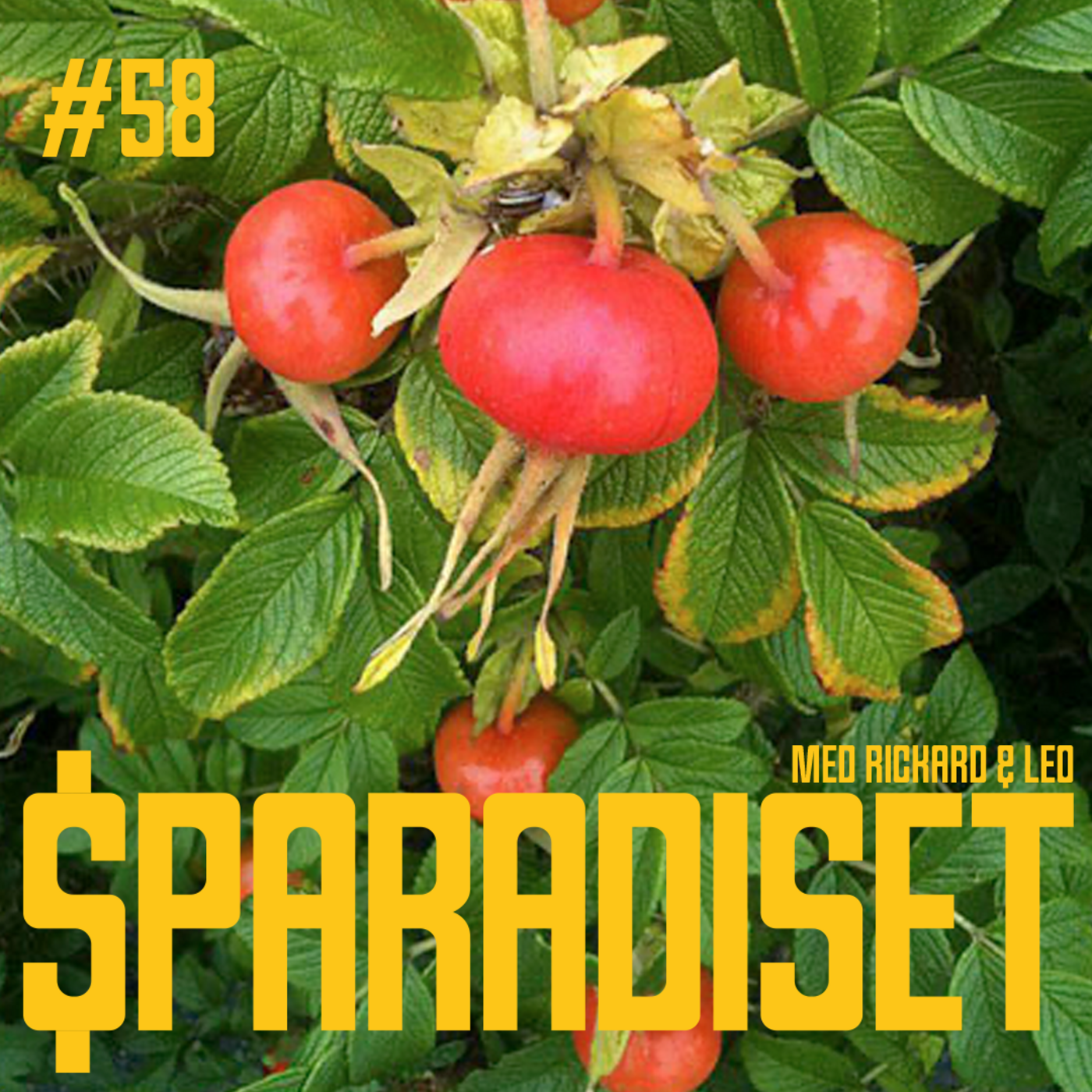 Sparadiset